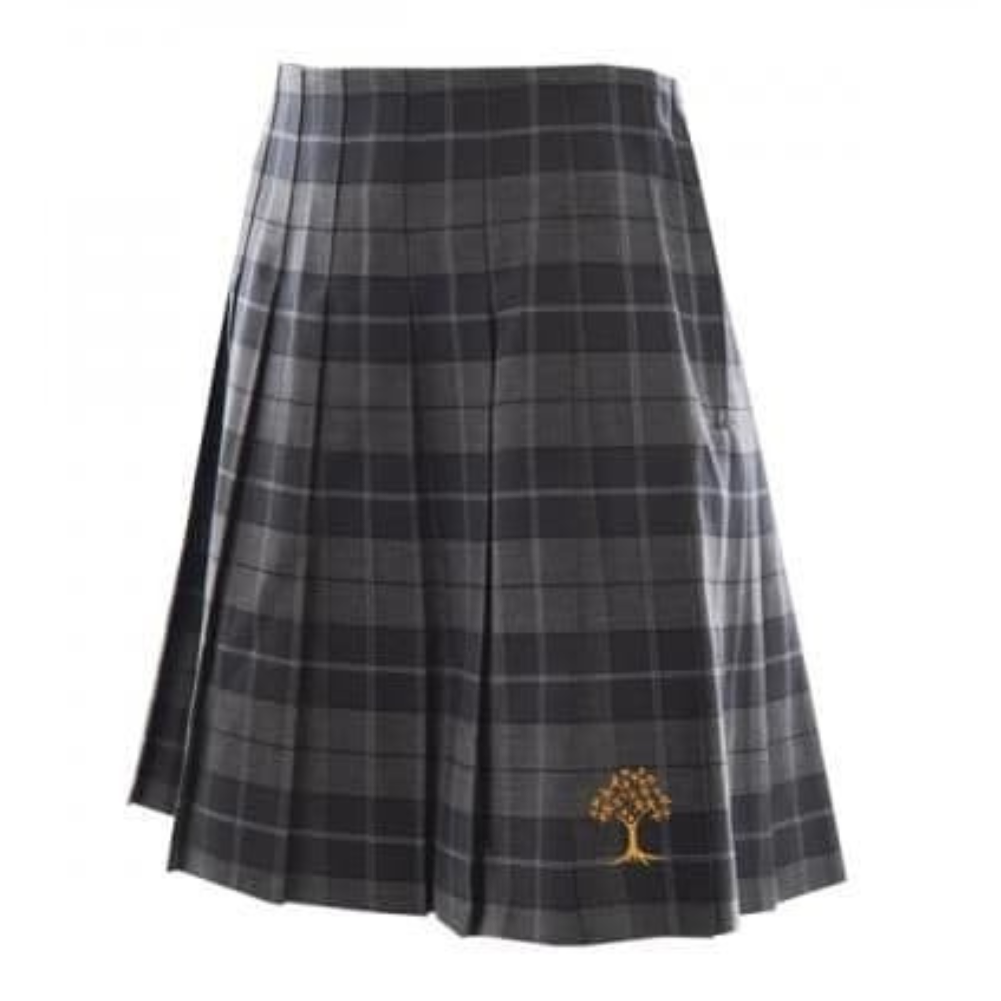 Elfed High School Tartan Skirt - Queensferry Sports