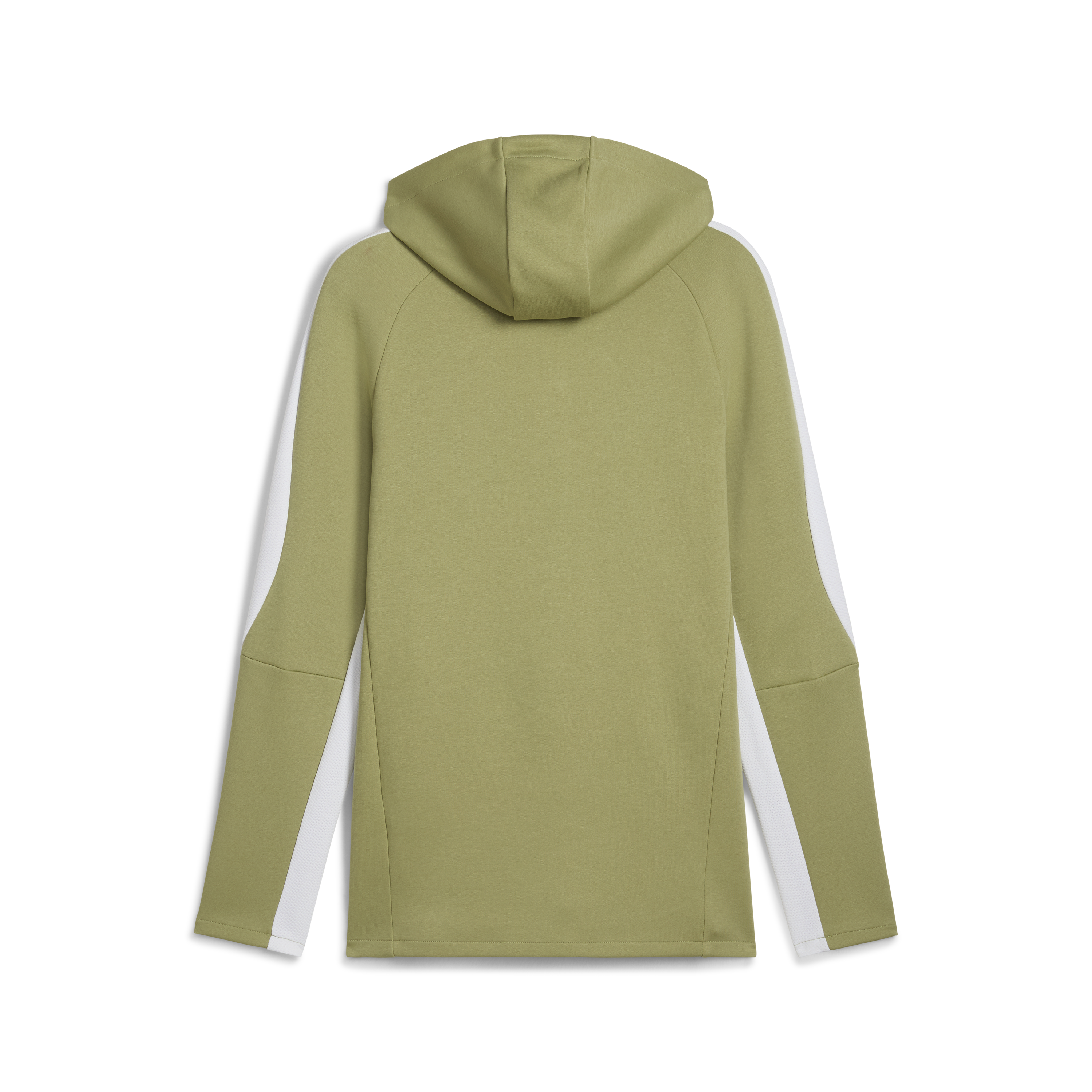 Puma Team Evostripe Hooded Jacket