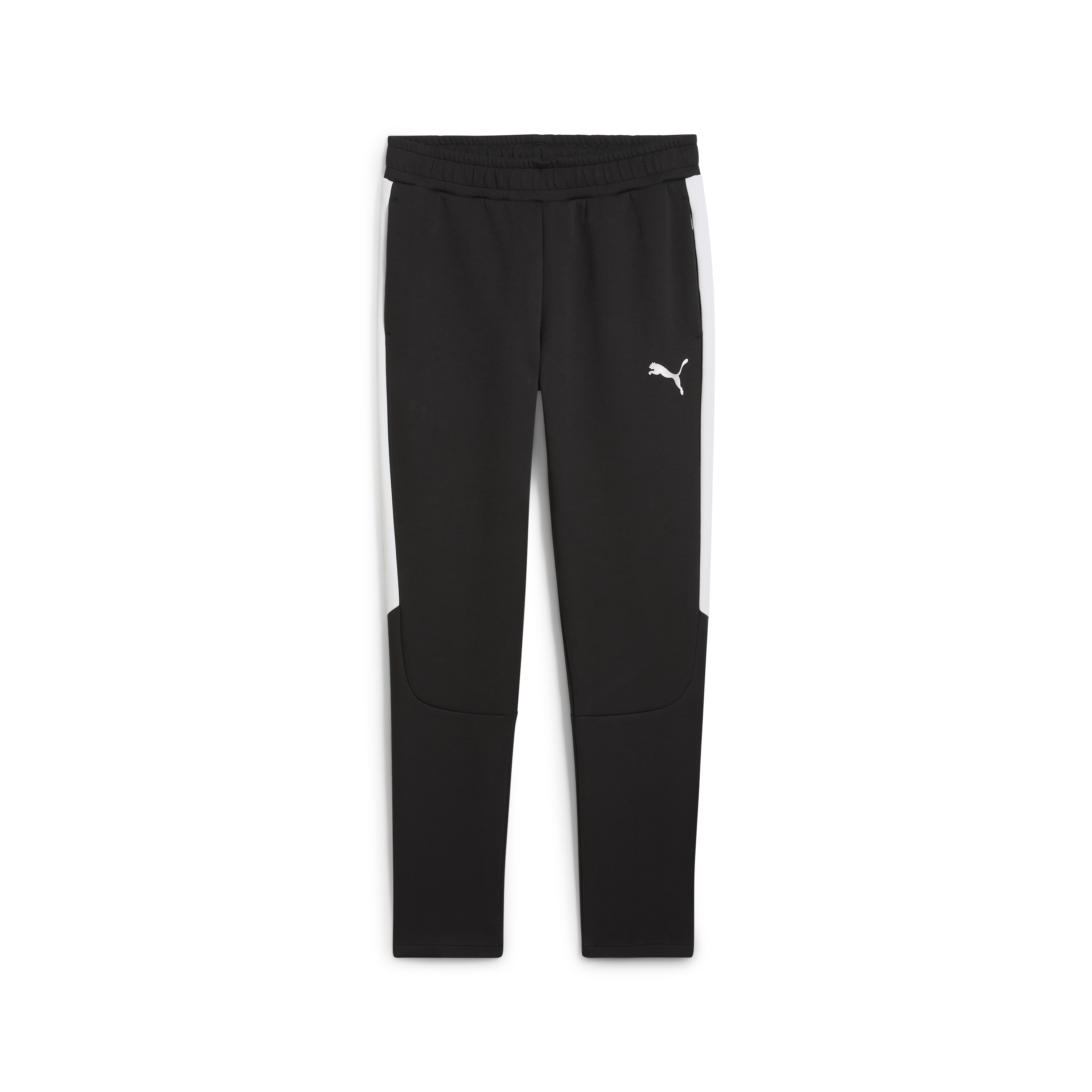 Puma Team Evostripe Pants