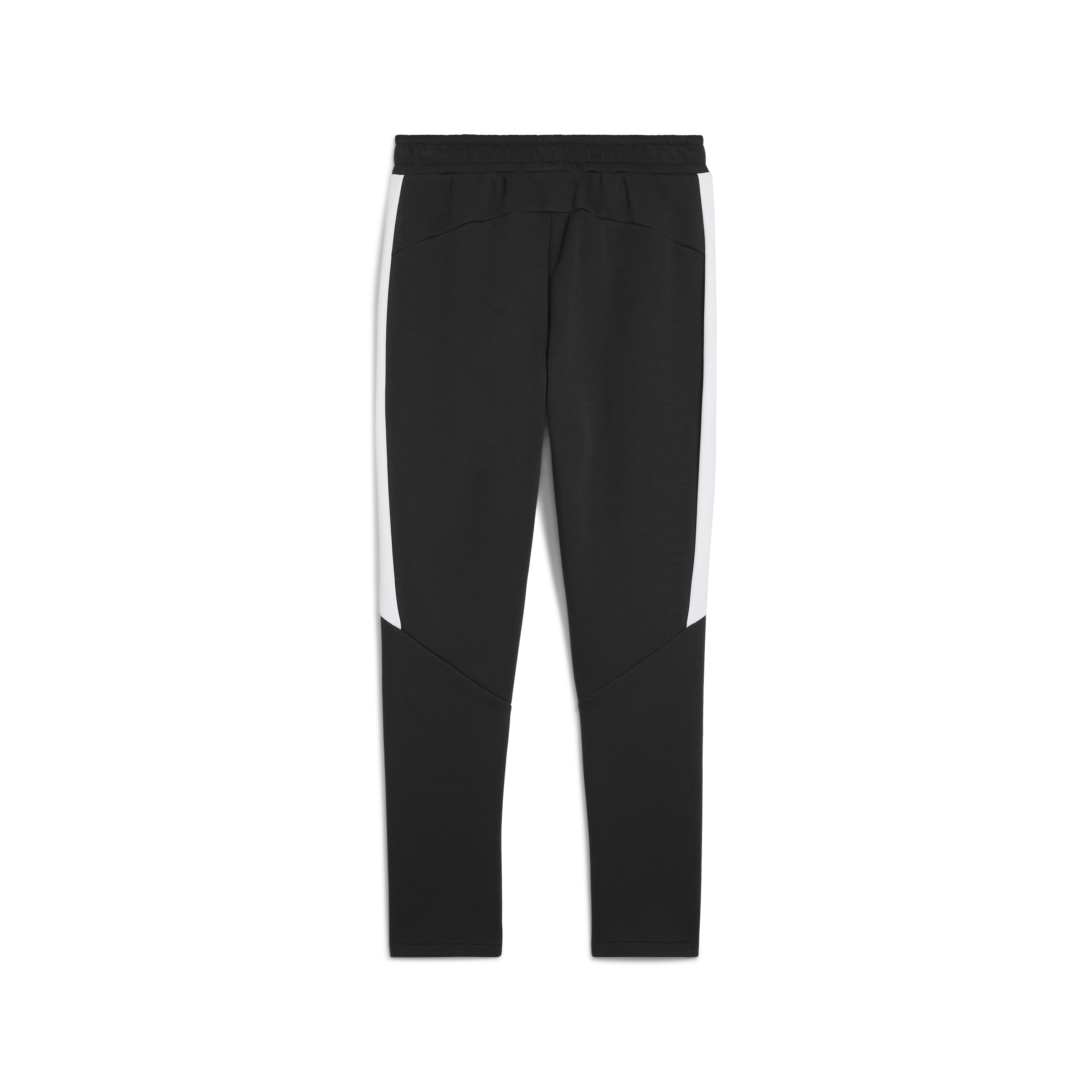 Puma Team Evostripe Pants