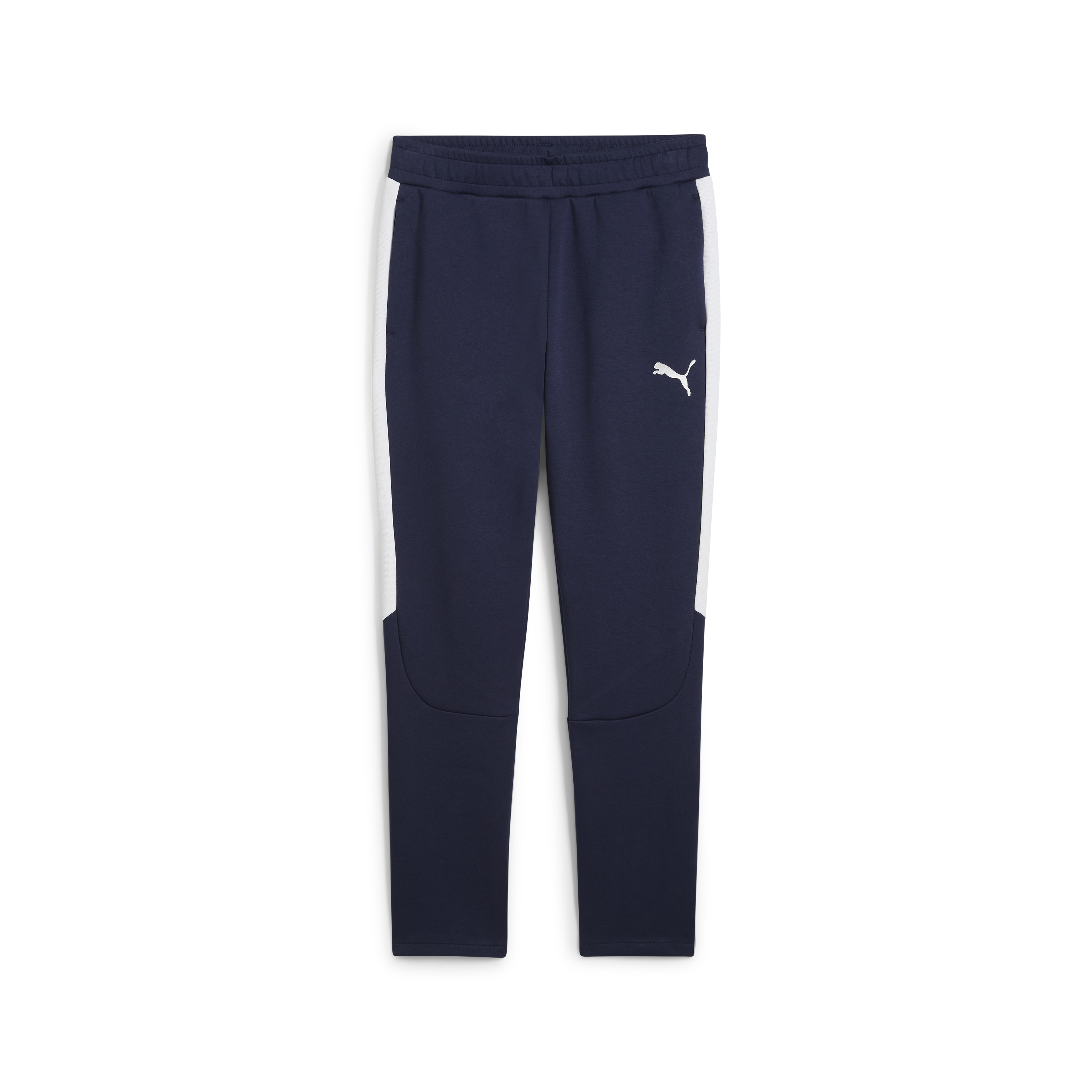 Puma Team Evostripe Pants