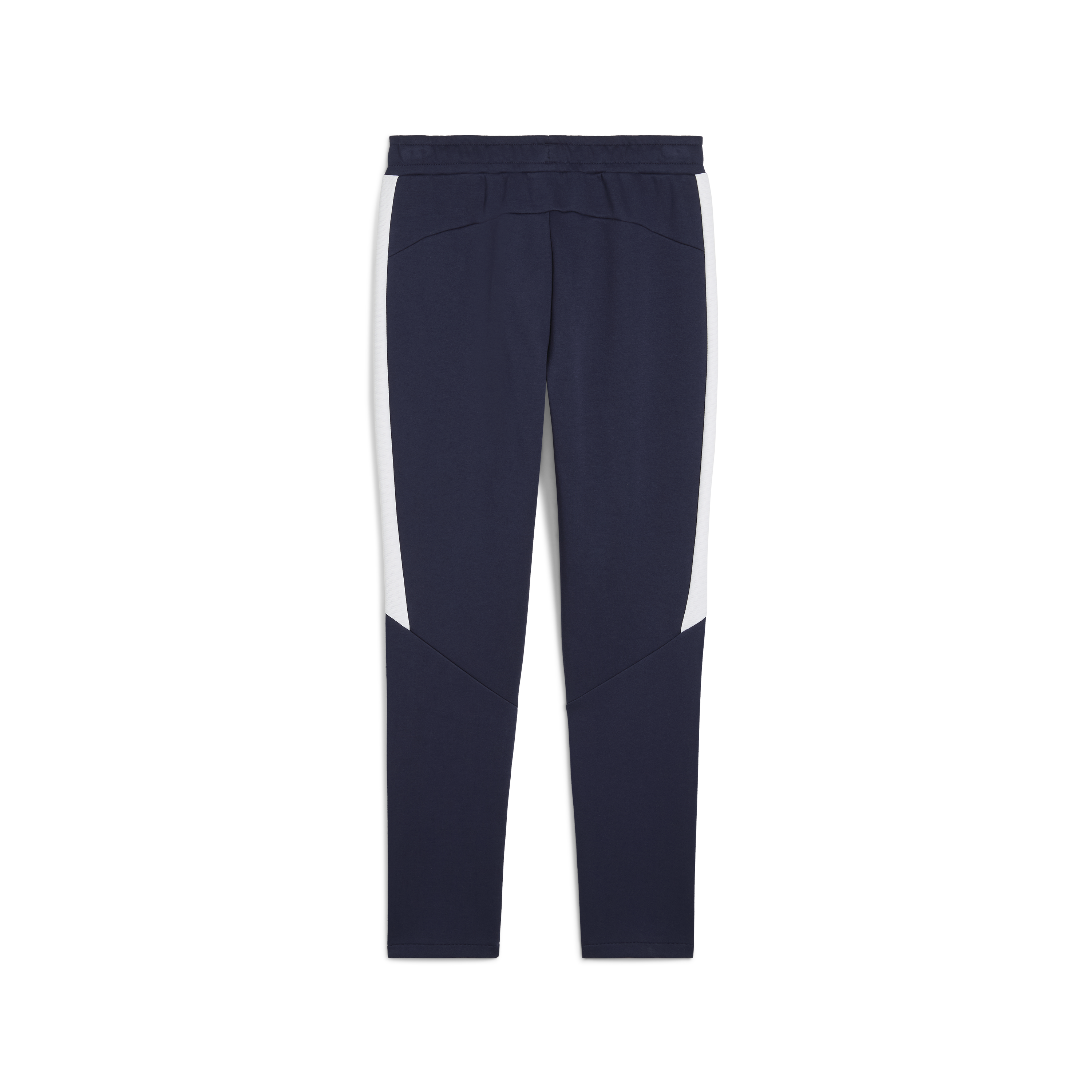 Puma Team Evostripe Pants