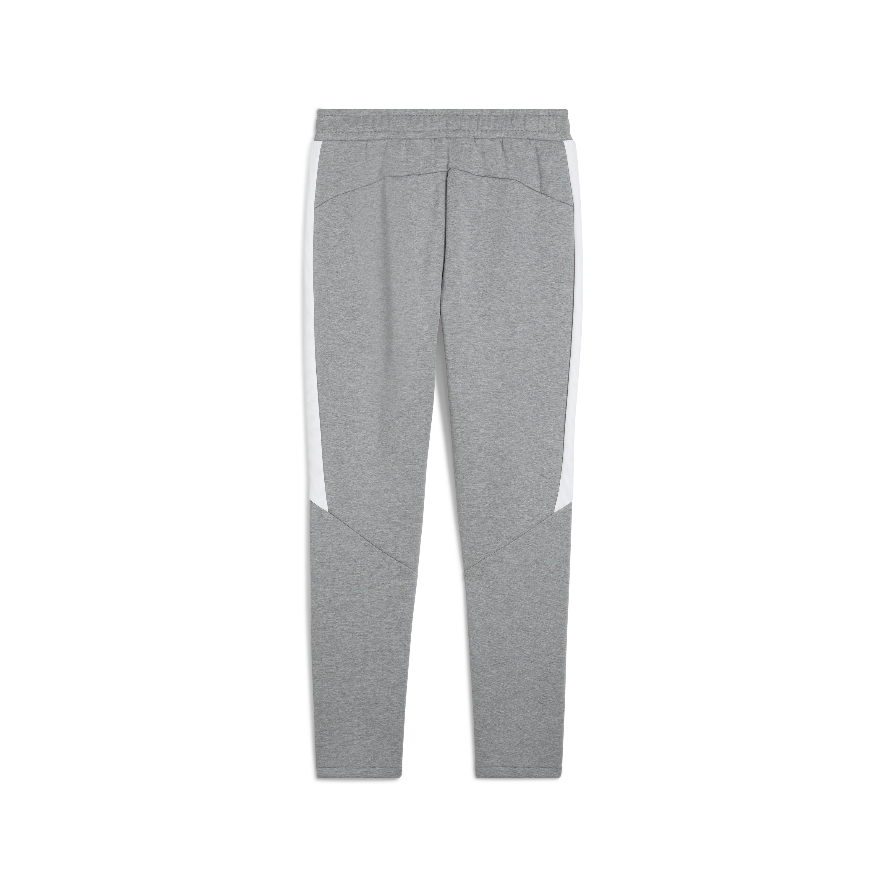 Puma Team Evostripe Pants