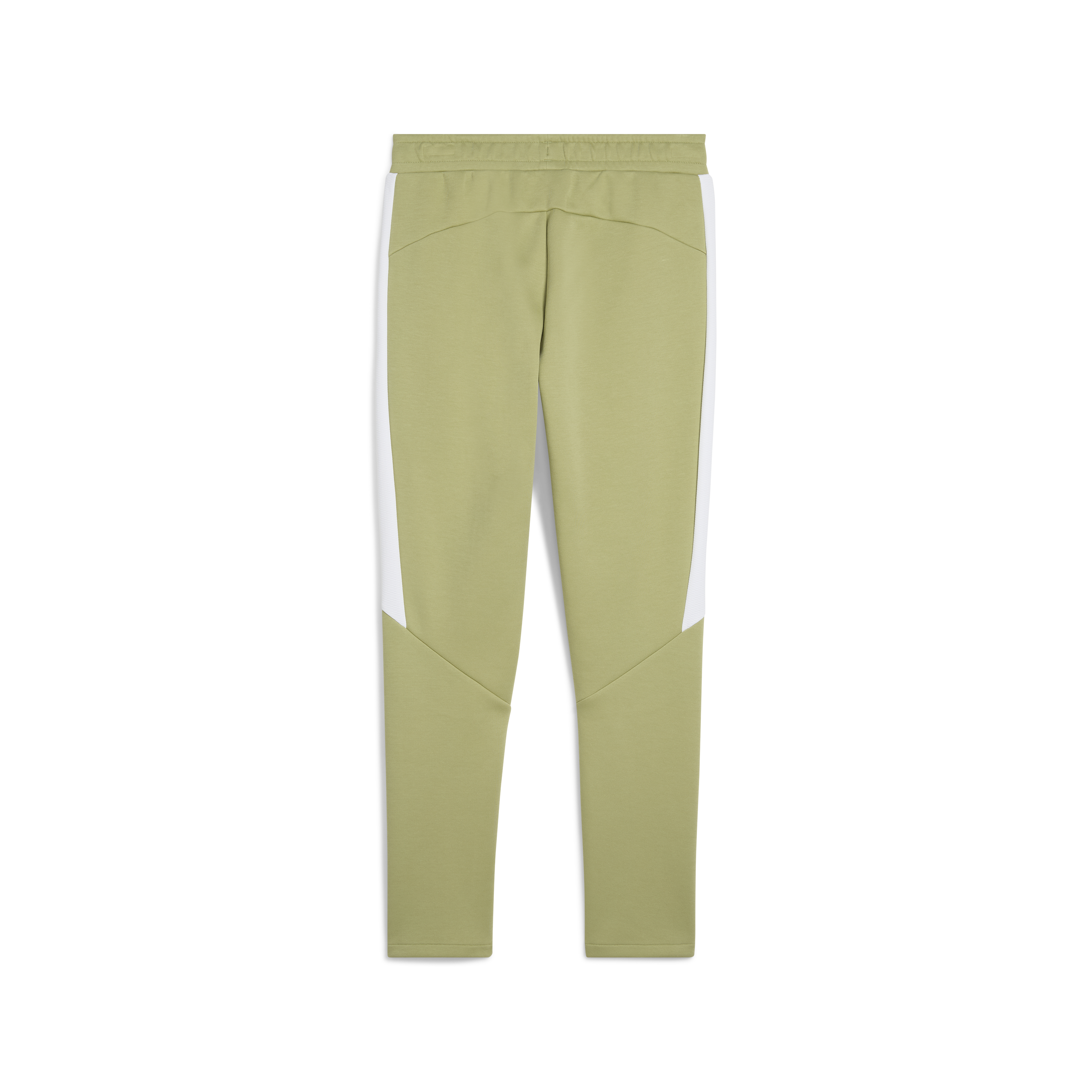 Puma Team Evostripe Pants