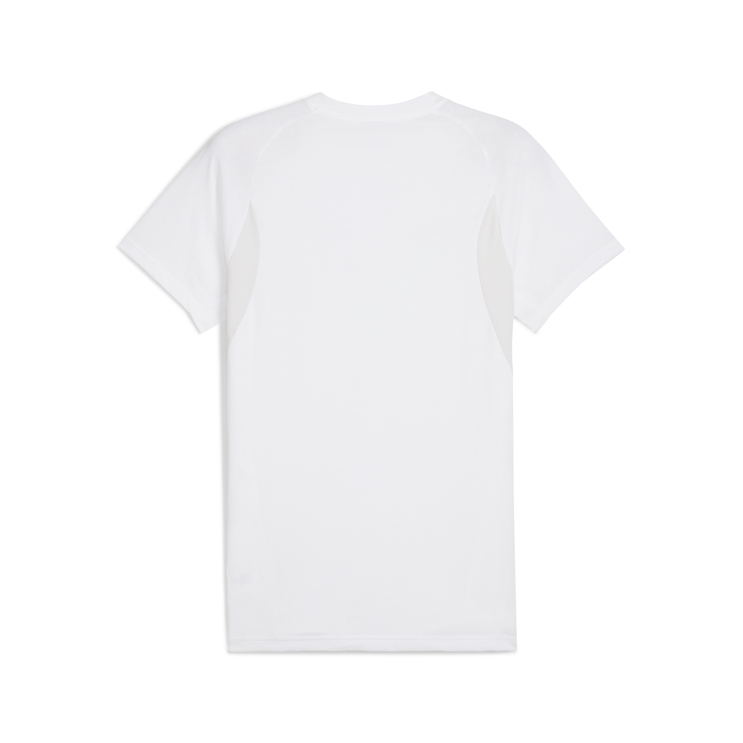 Puma Team Evostripe T-Shirt