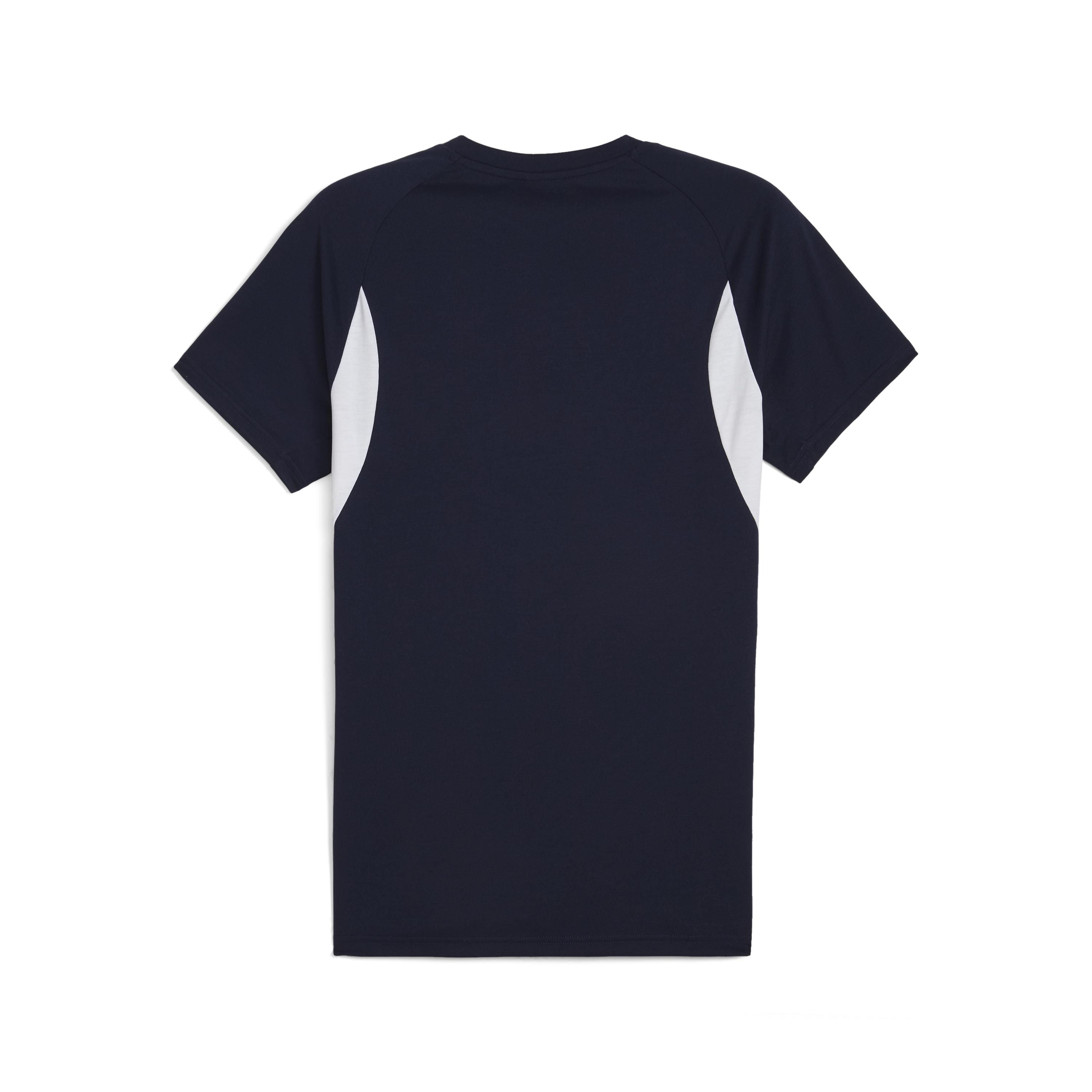 Puma Team Evostripe T-Shirt