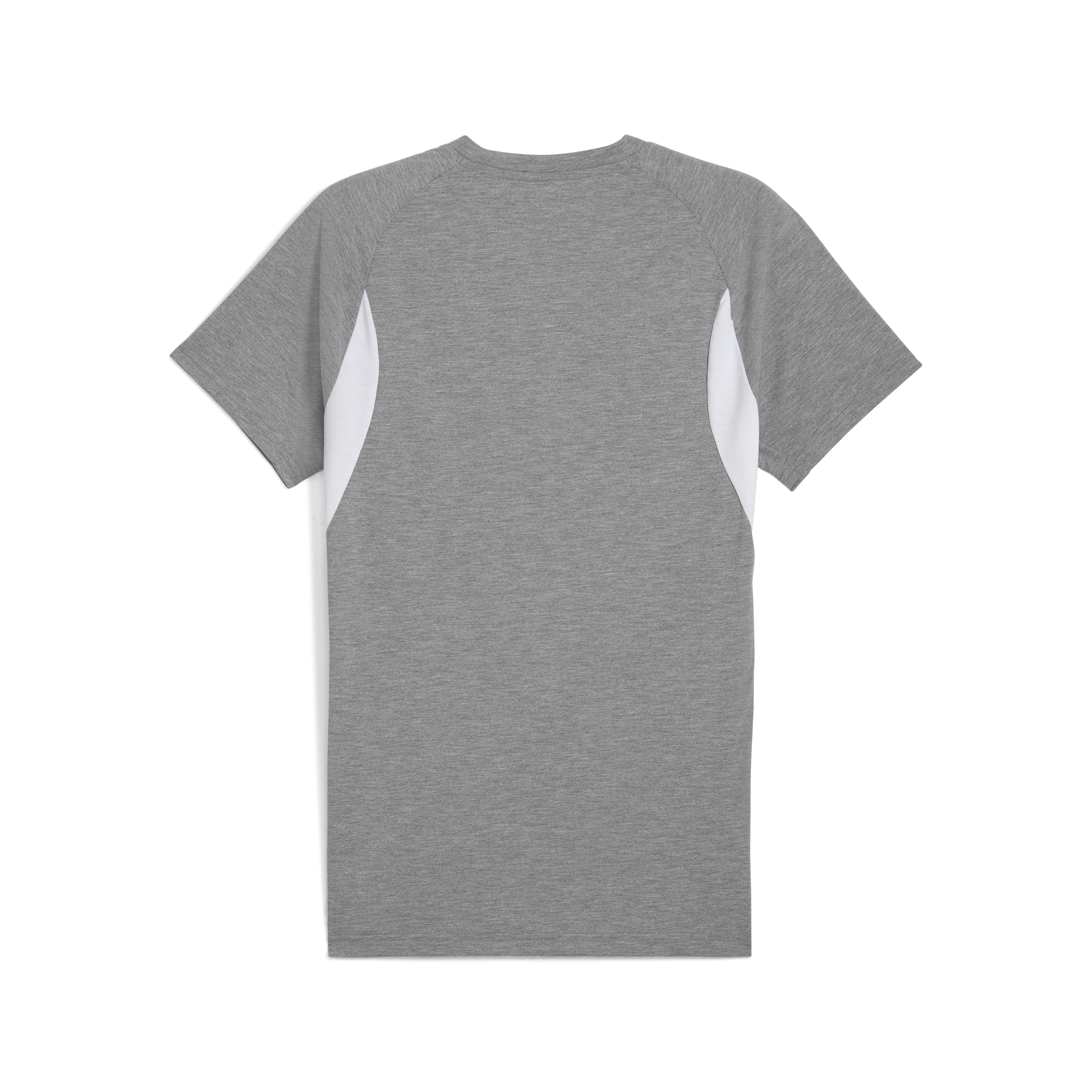 Puma Team Evostripe T-Shirt