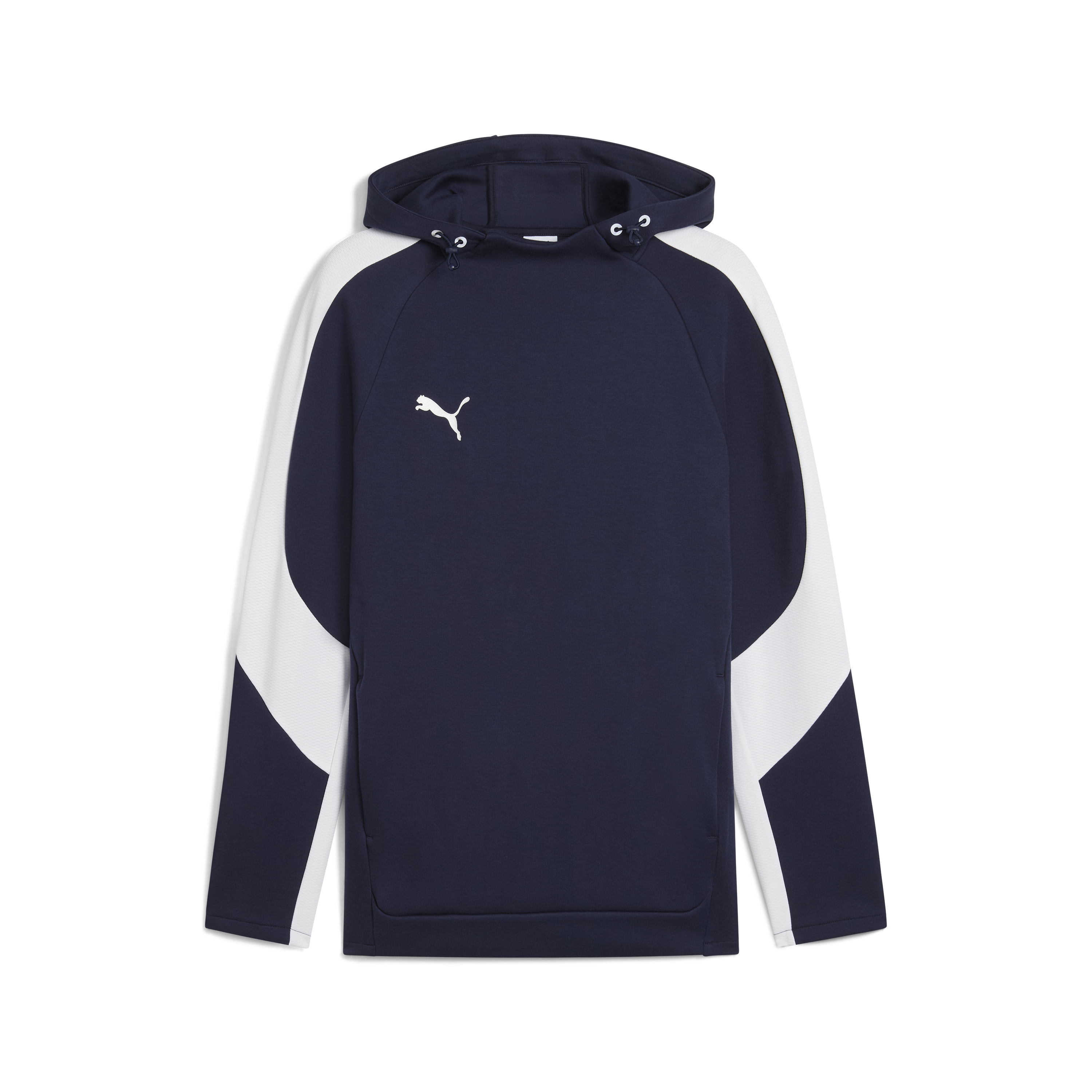 Puma Team Evostripe Hoodie