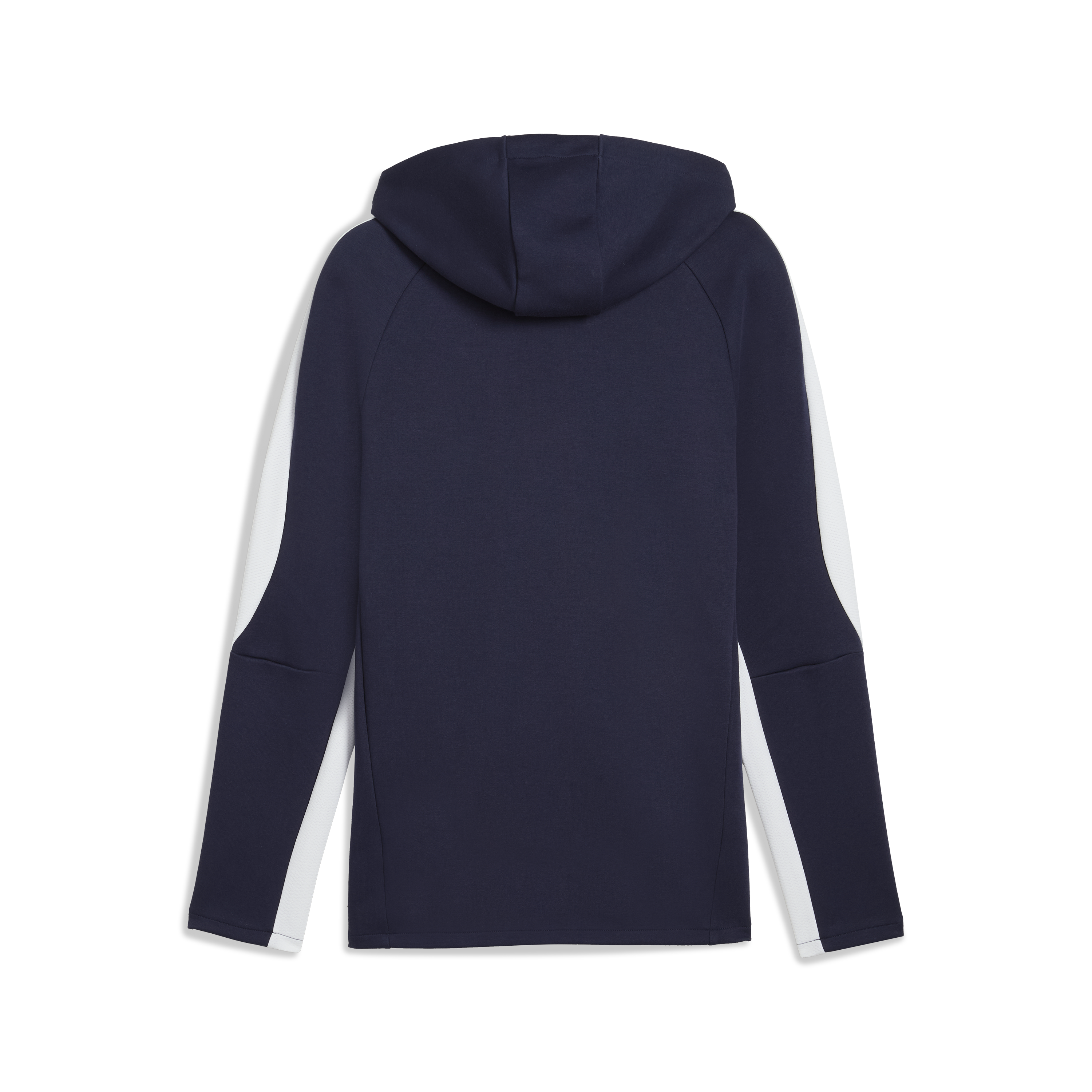 Puma Team Evostripe Hoodie