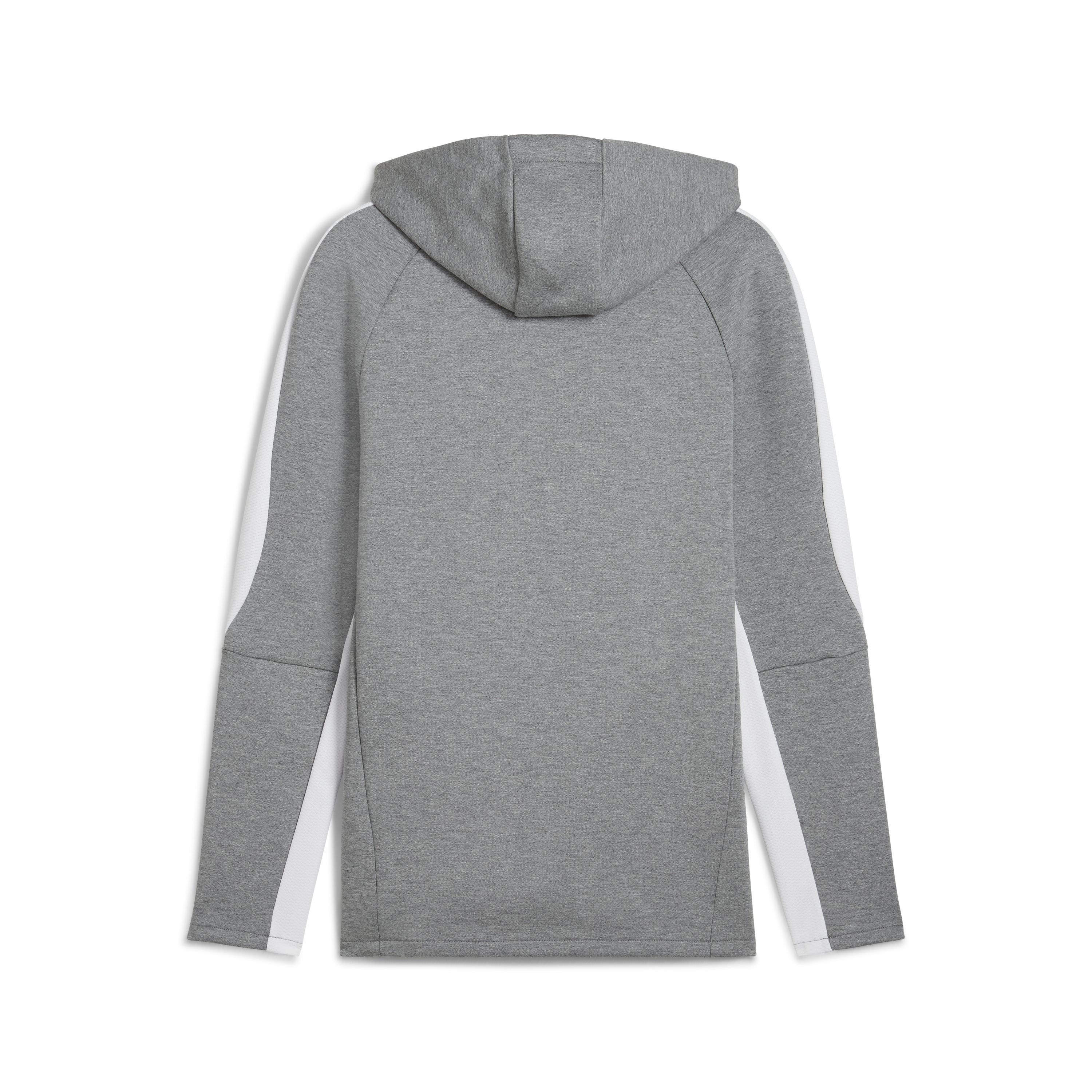 Puma Team Evostripe Hoodie