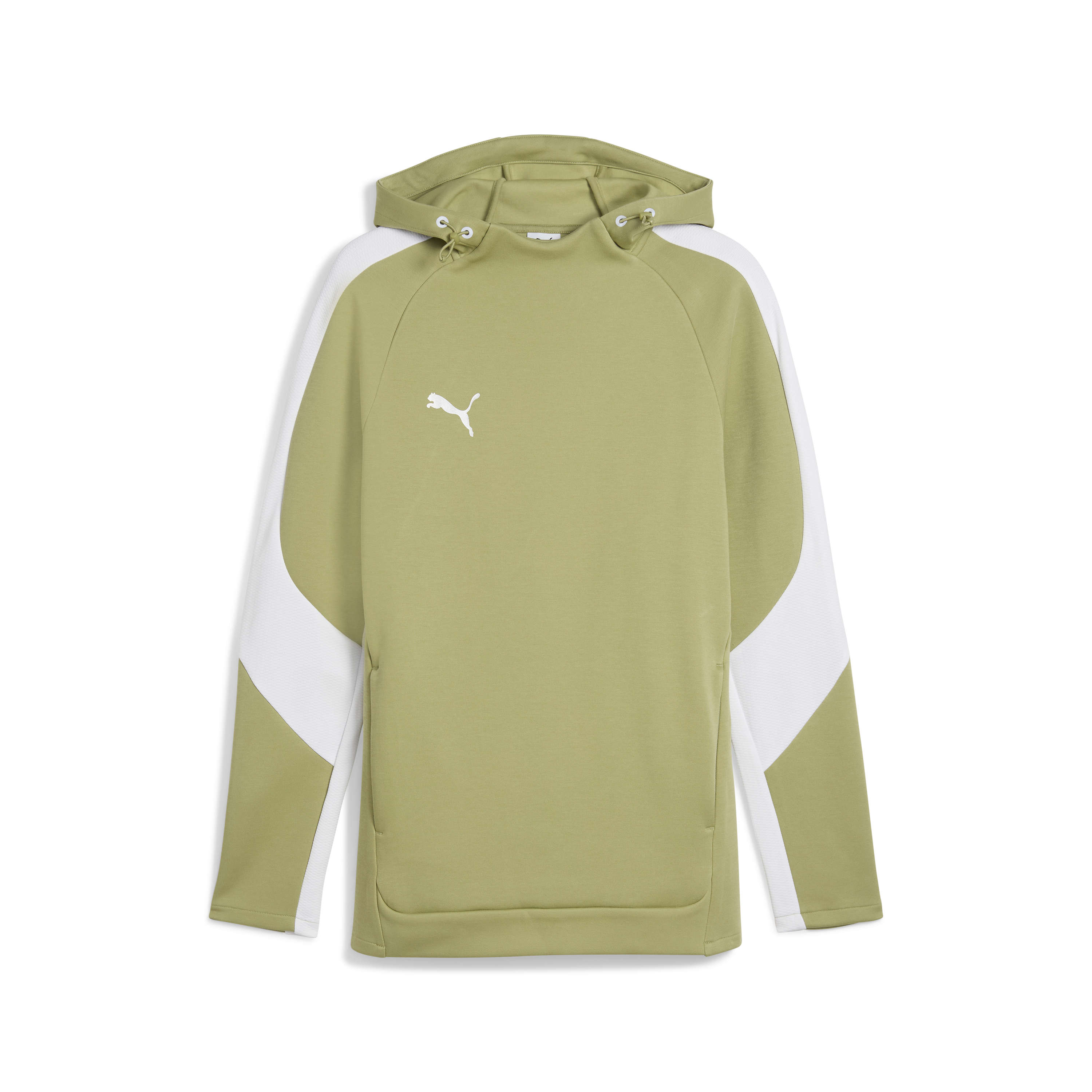 Puma Team Evostripe Hoodie
