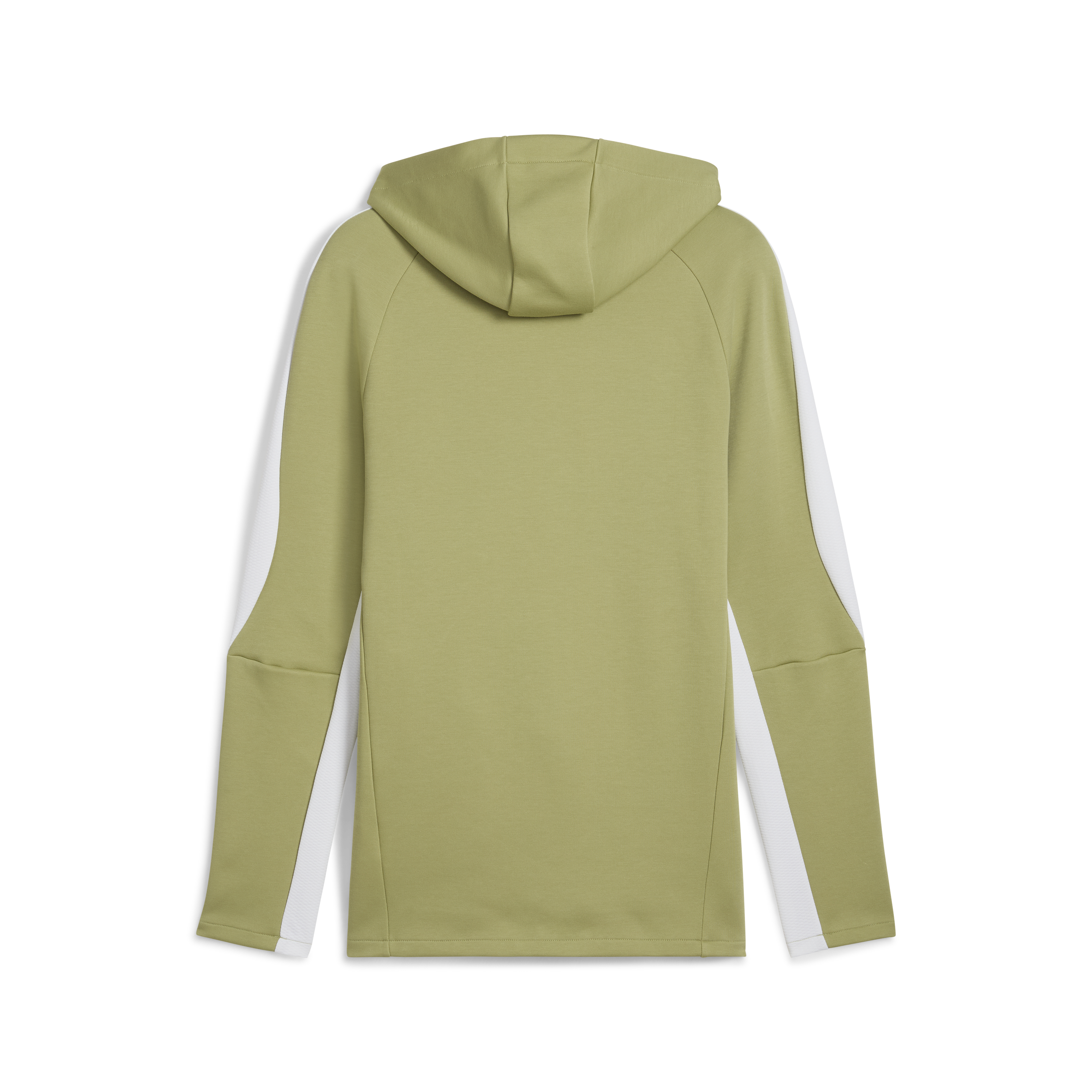 Puma Team Evostripe Hoodie