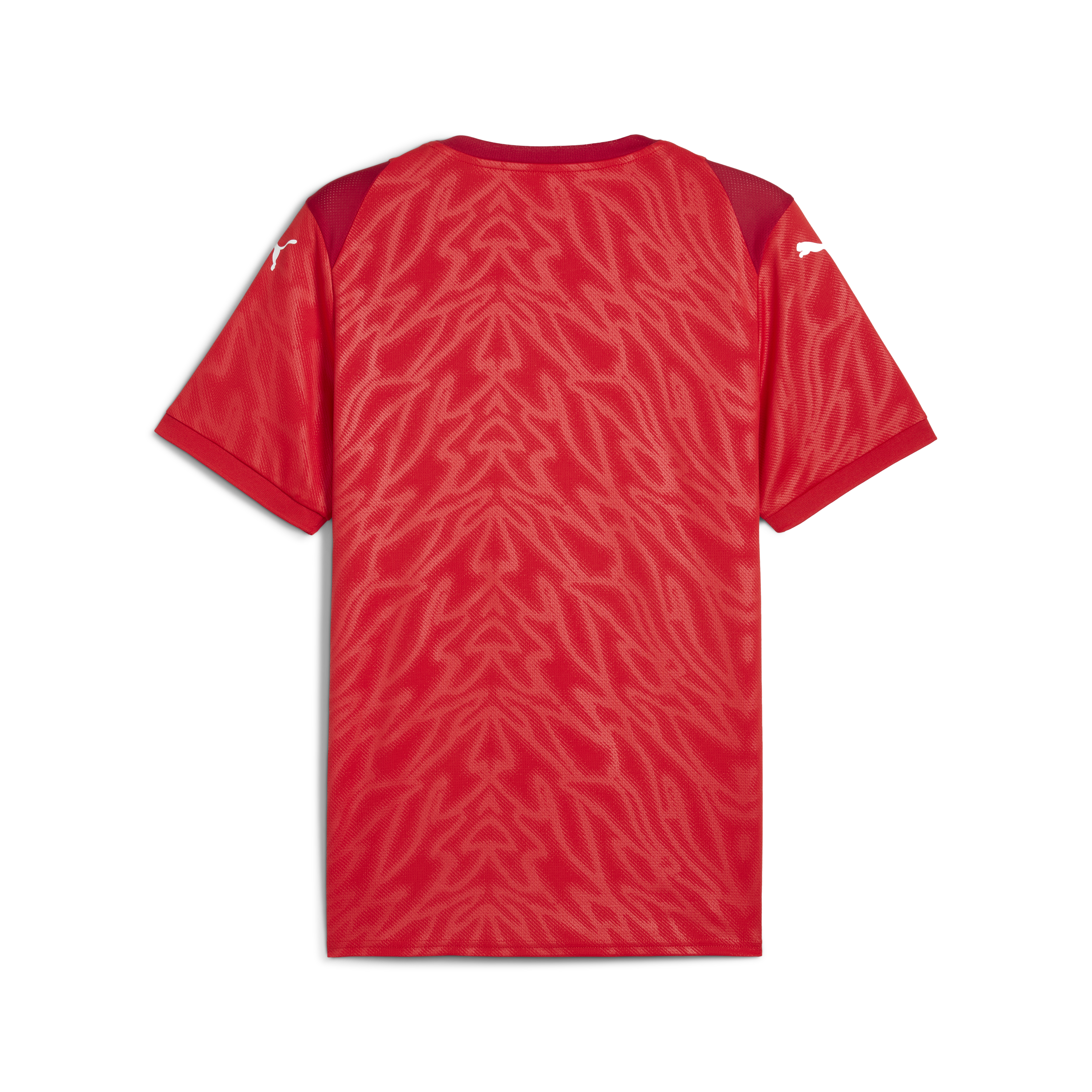 Puma Team Cup Jersey