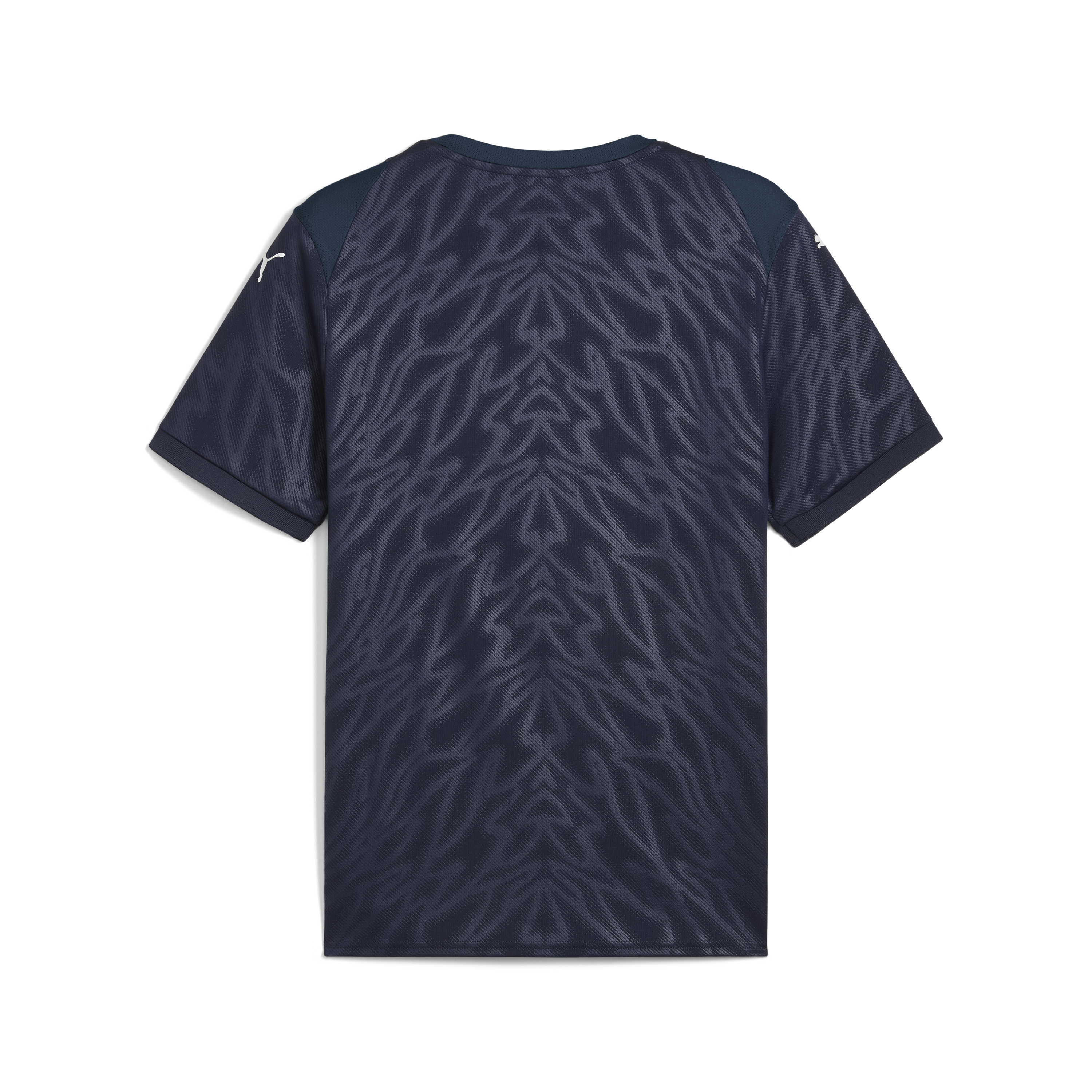 Puma Team Cup Jersey