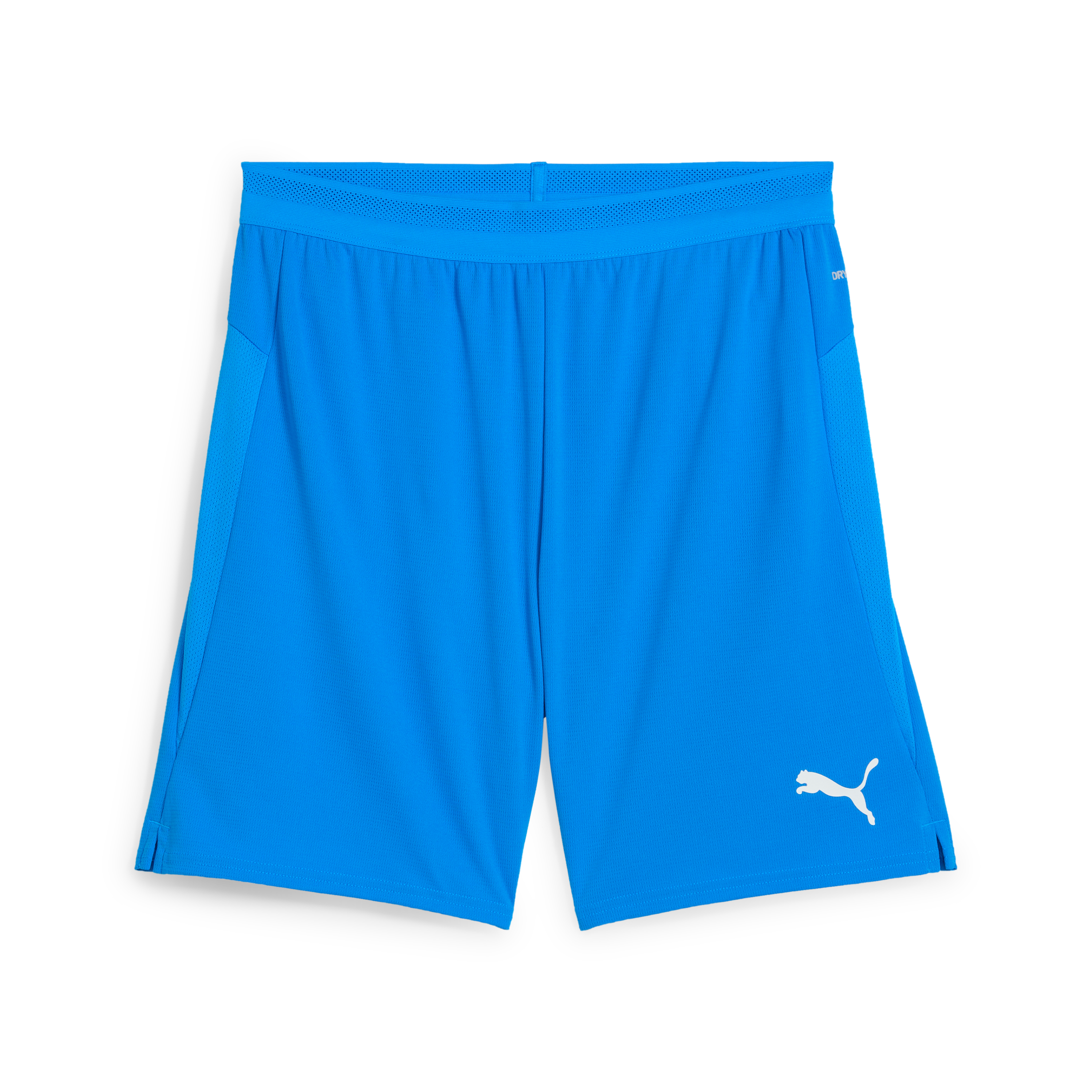 Puma Team Cup Shorts