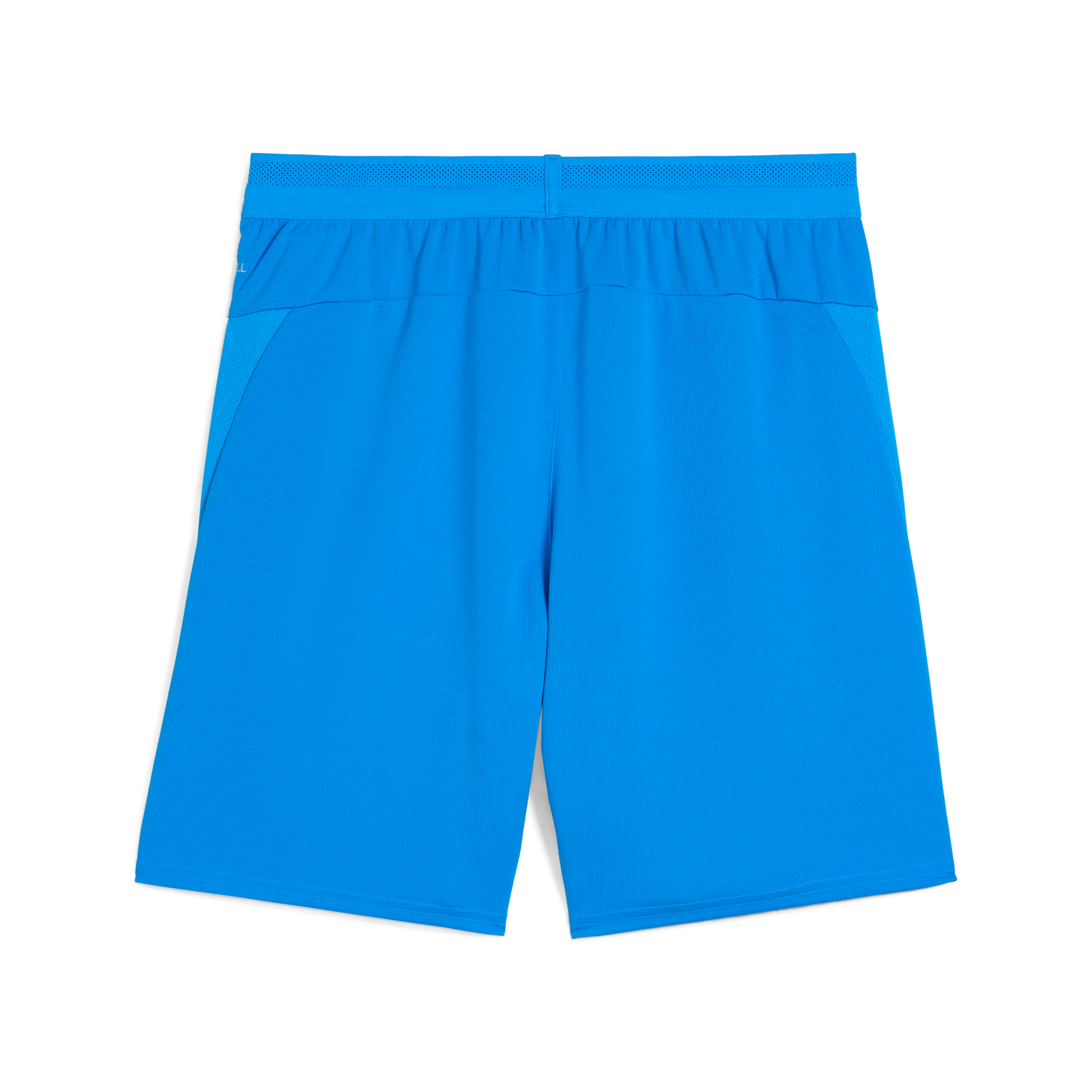 Puma Team Cup Shorts