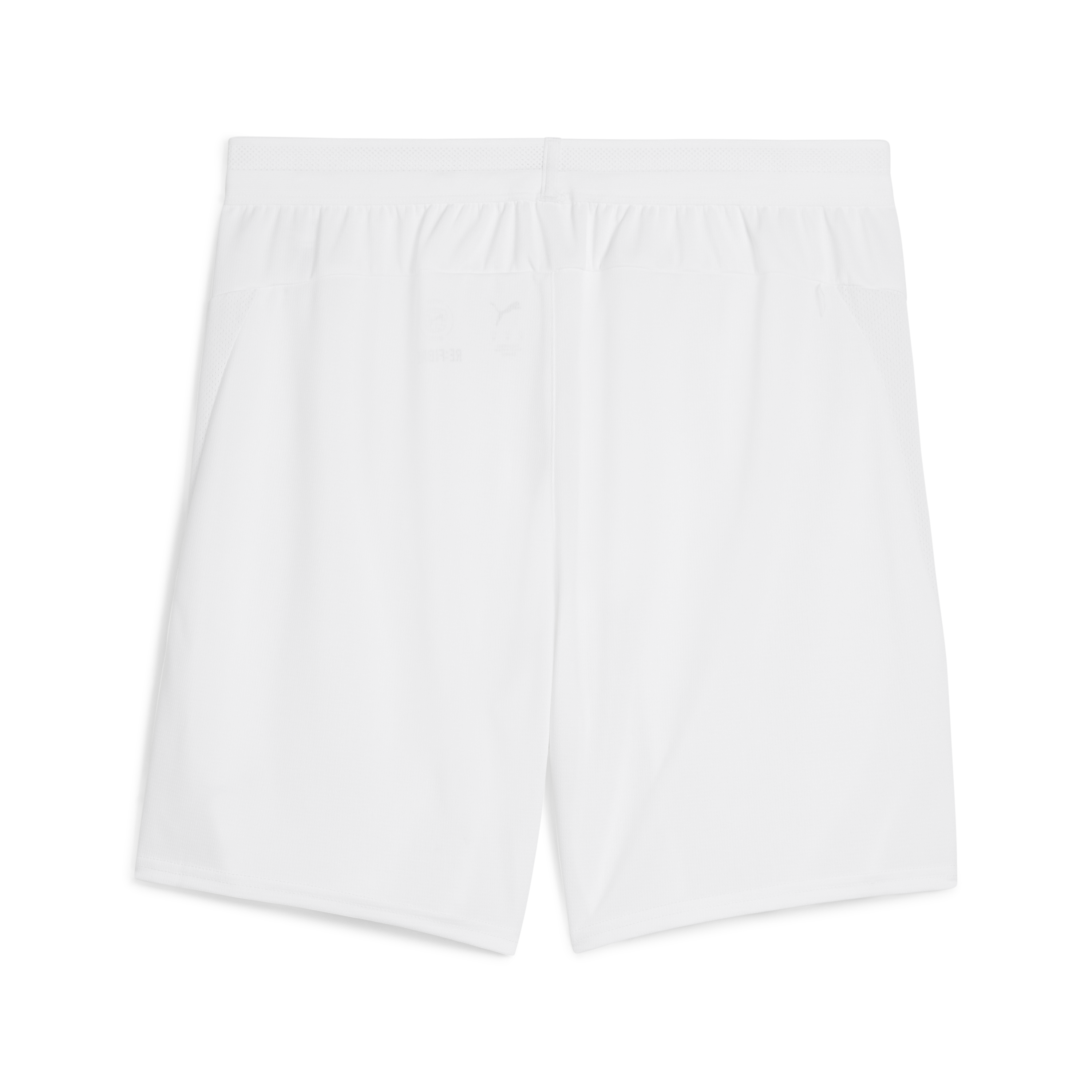 Puma Team Cup Shorts