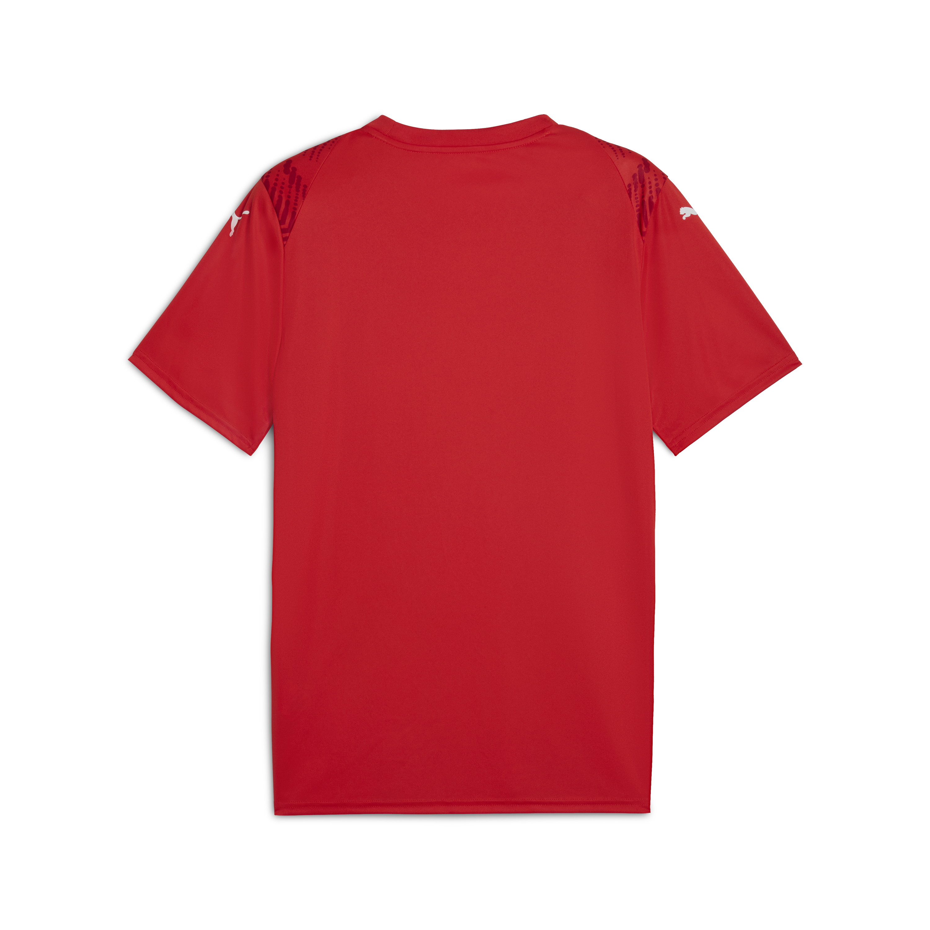 Puma Team Ultimate Jersey