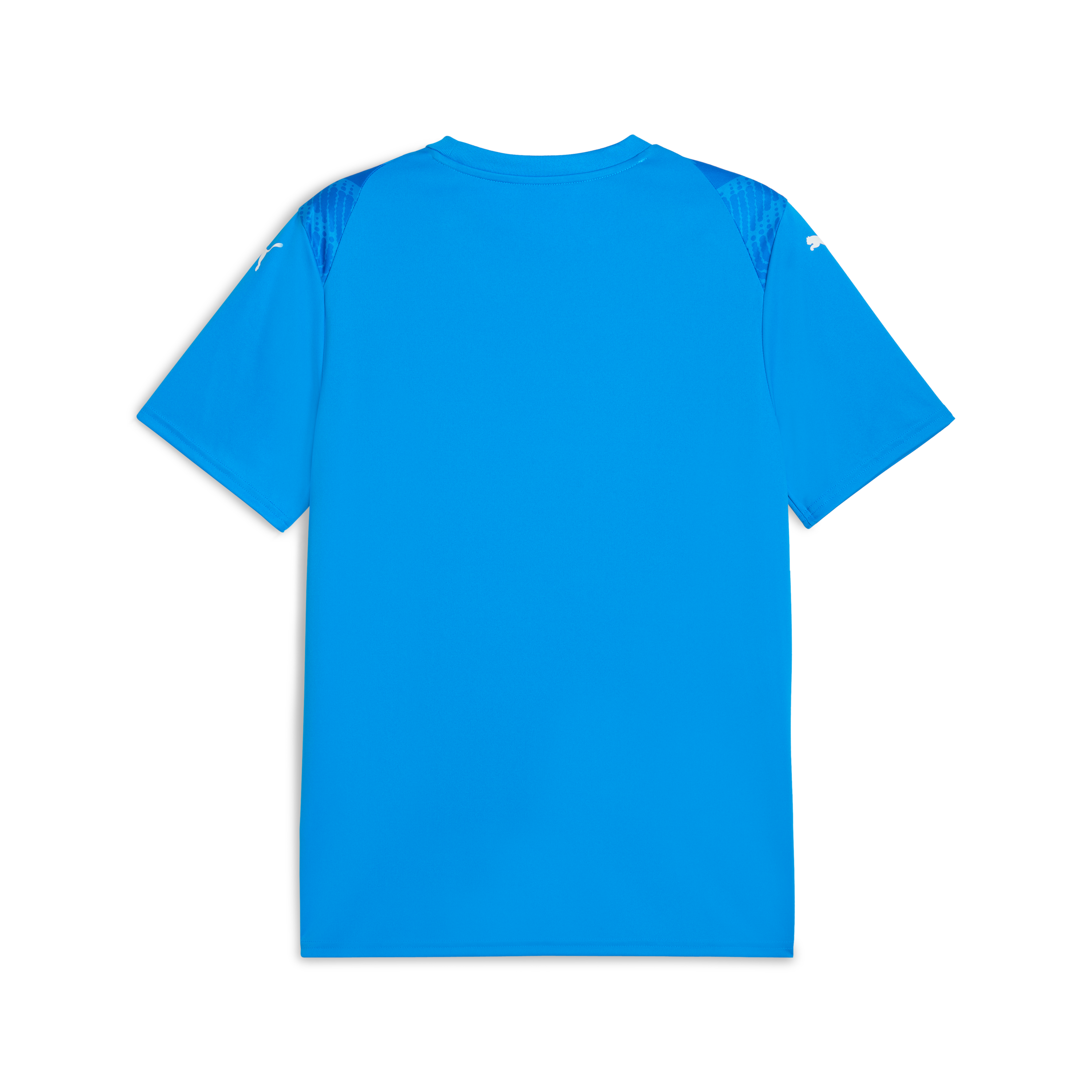 Puma Team Ultimate Jersey