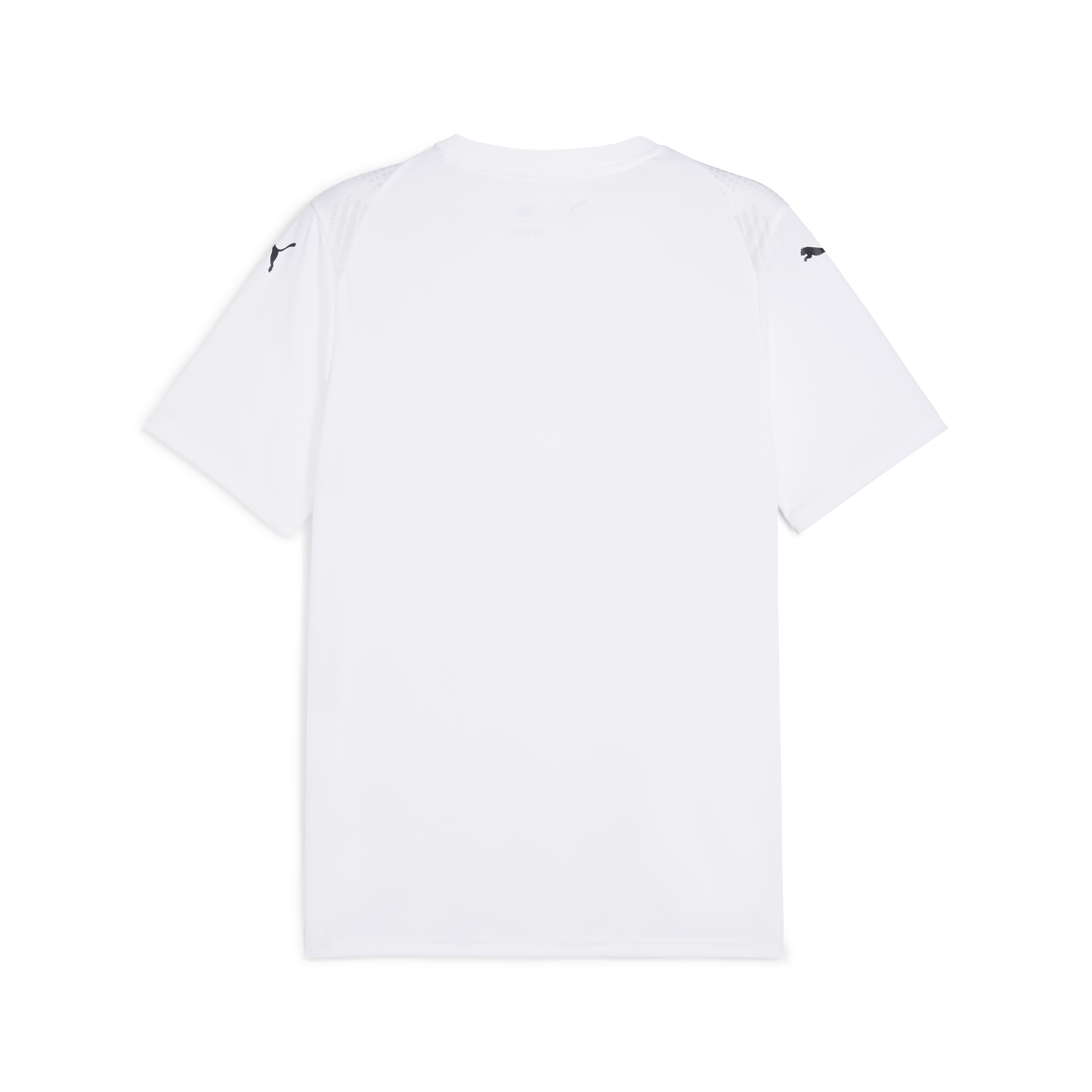 Puma Team Ultimate Jersey