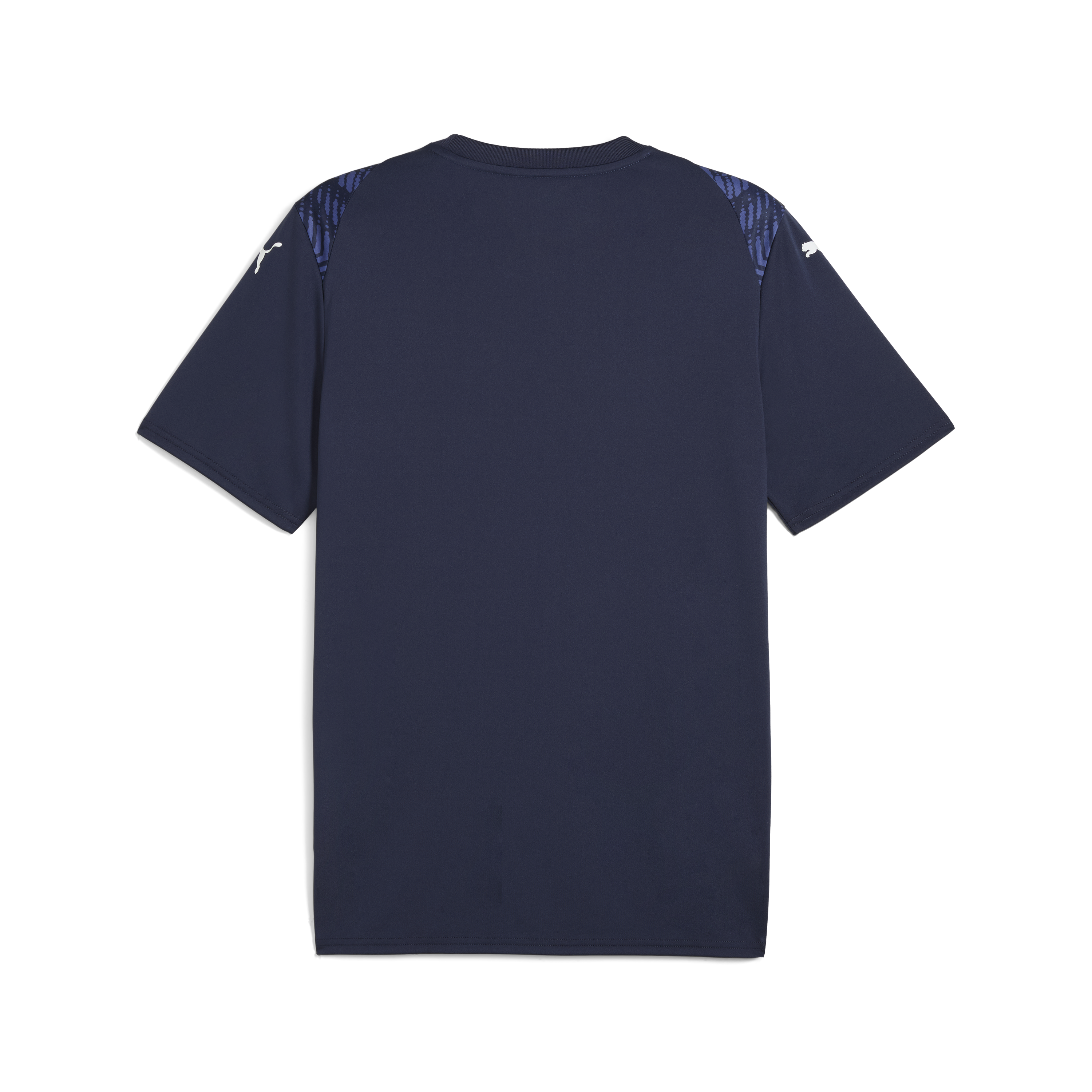 Puma Team Ultimate Jersey