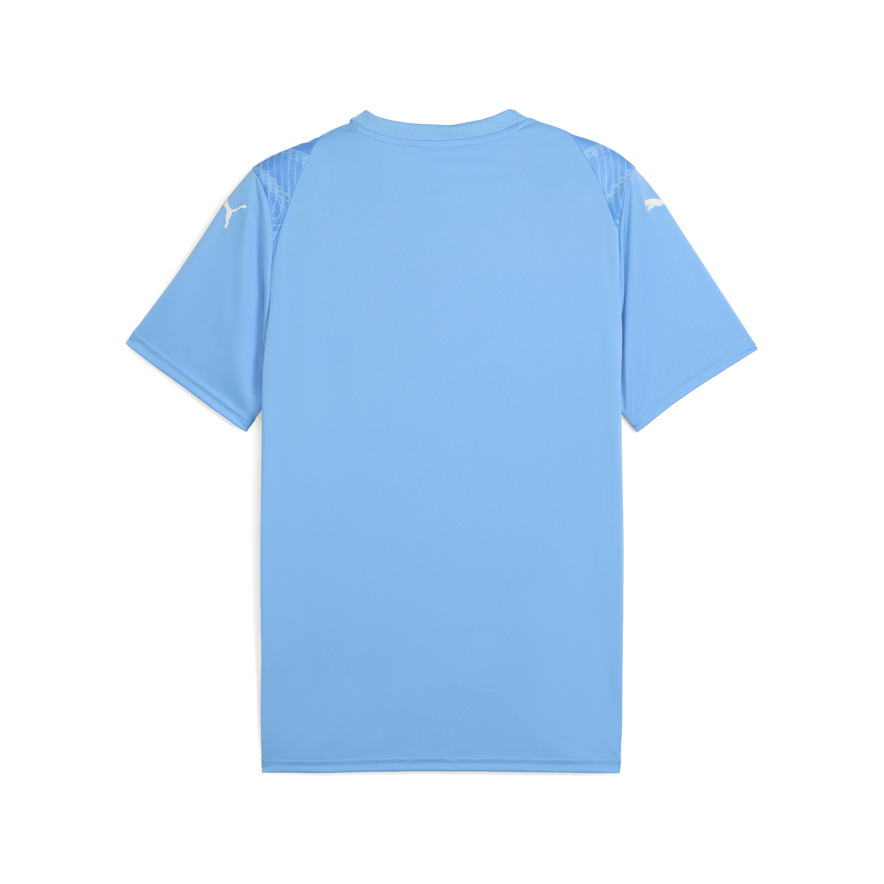 Puma Team Ultimate Jersey