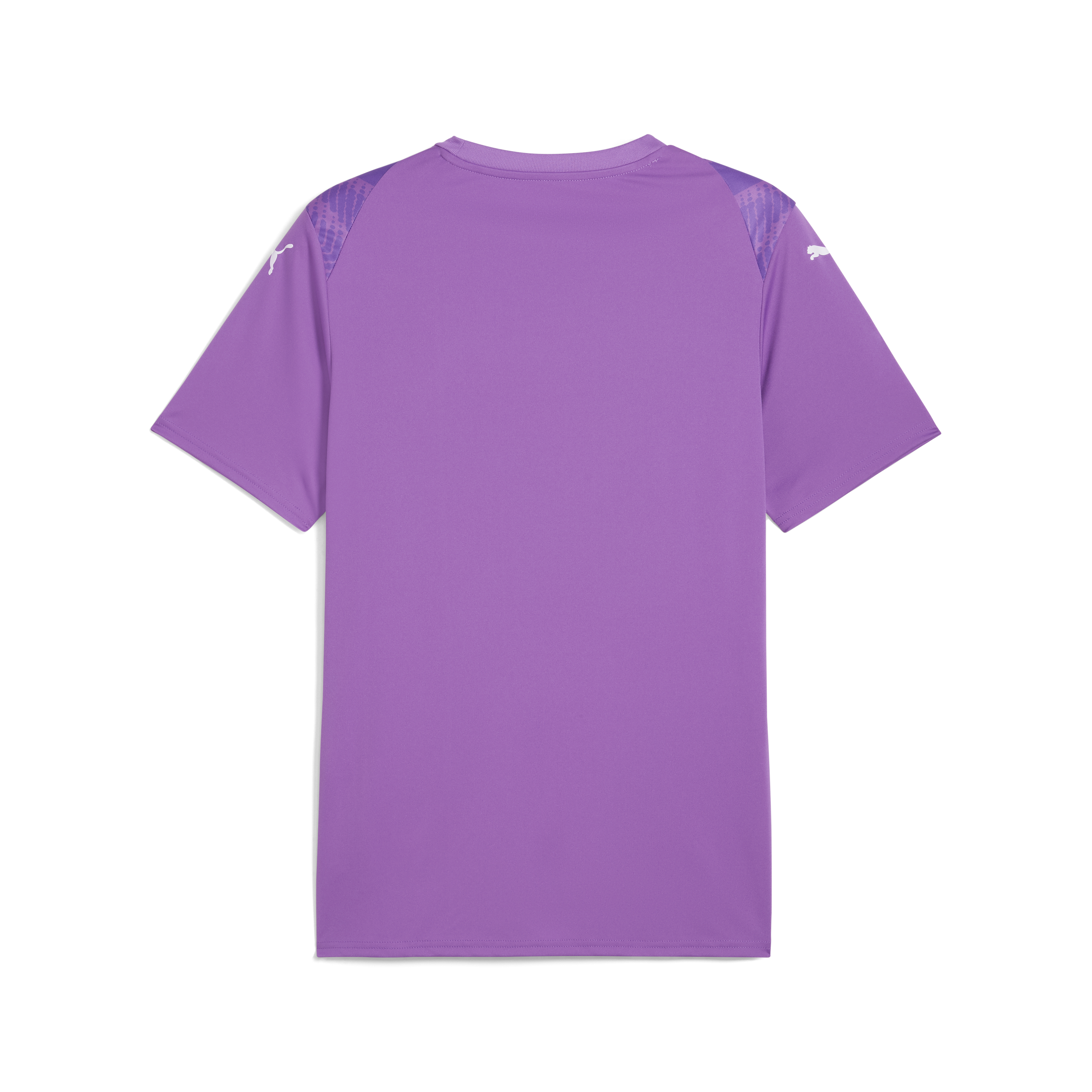 Puma Team Ultimate Jersey