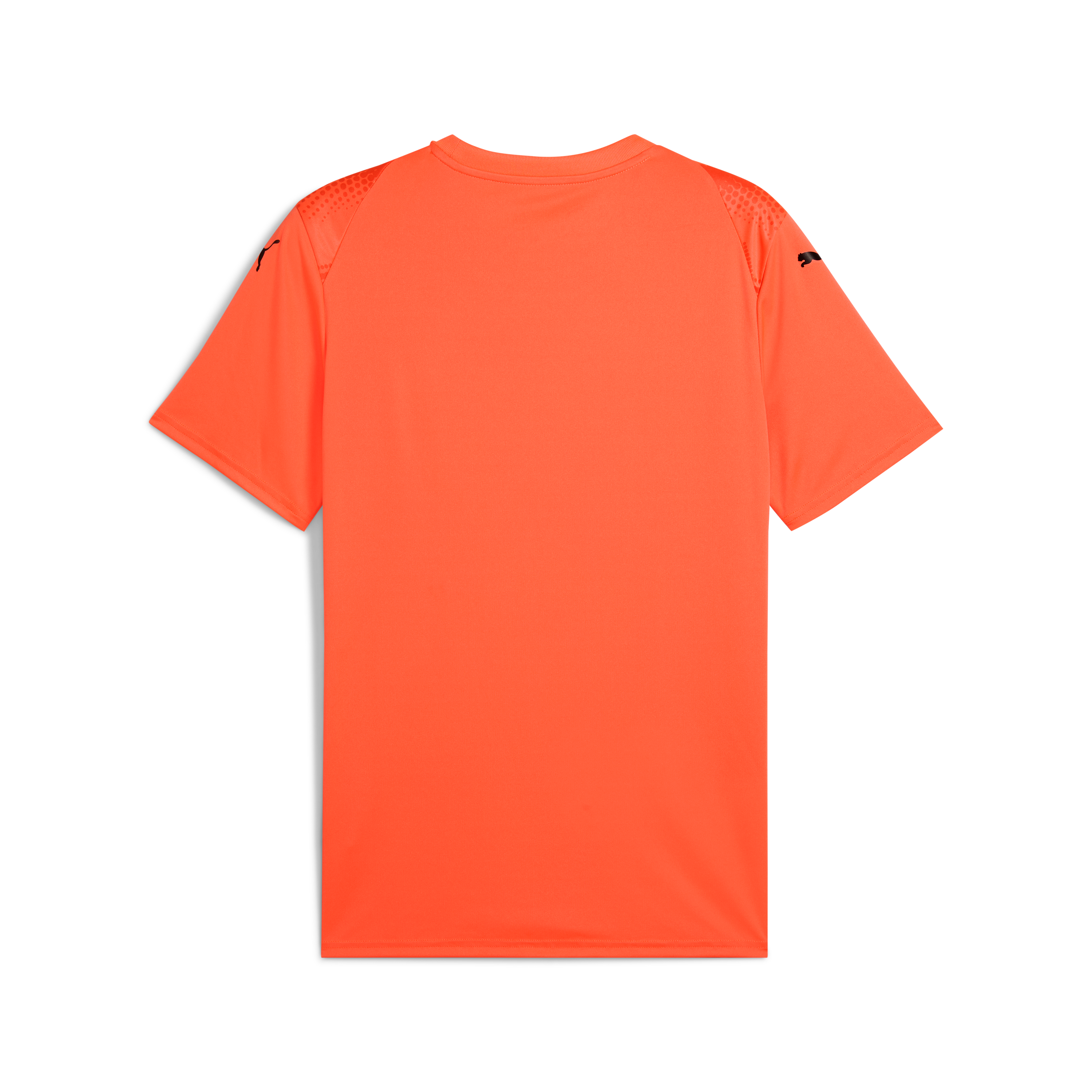 Puma Team Ultimate Jersey
