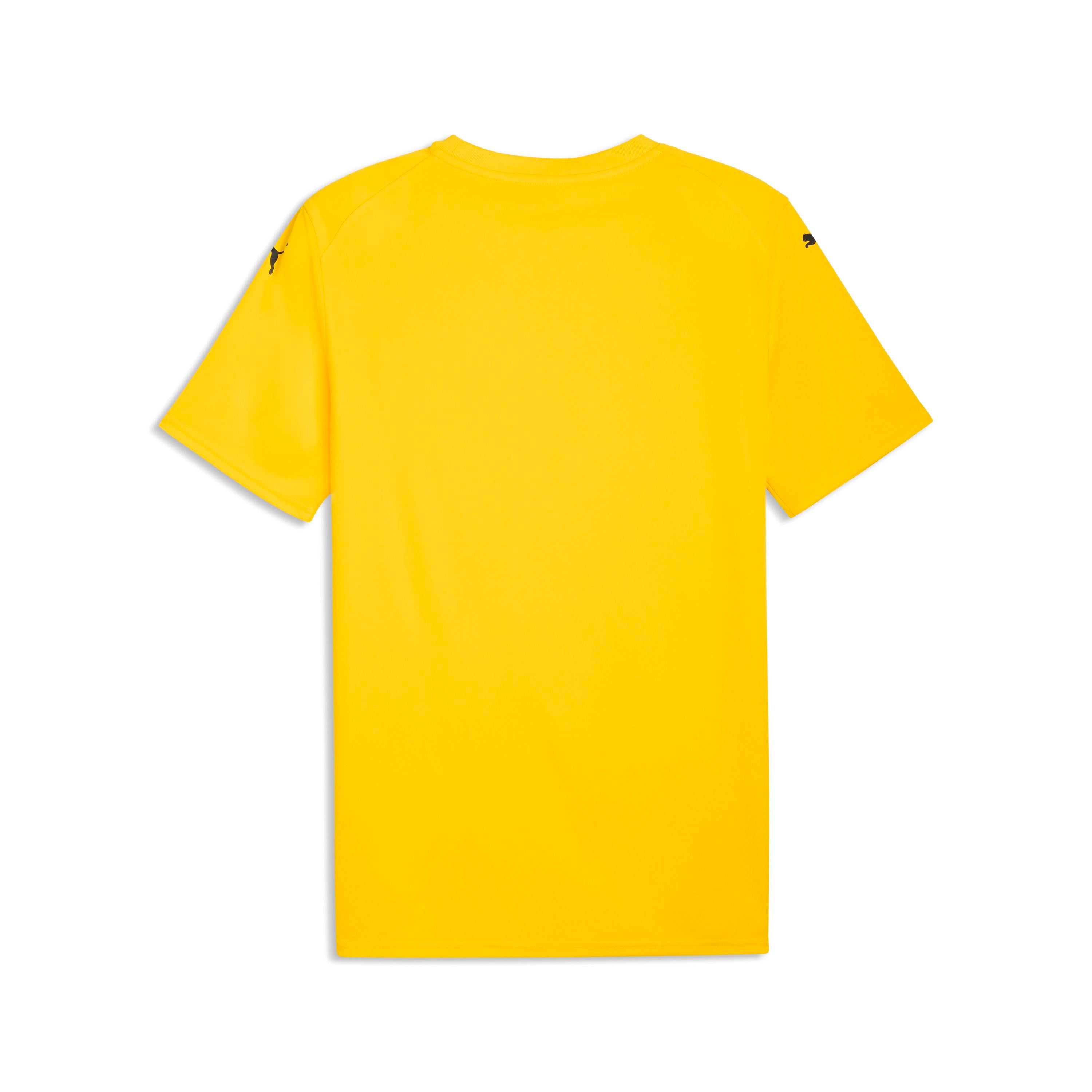 Puma TeamFinal 26 Graphic Jersey - Queensferry Sports