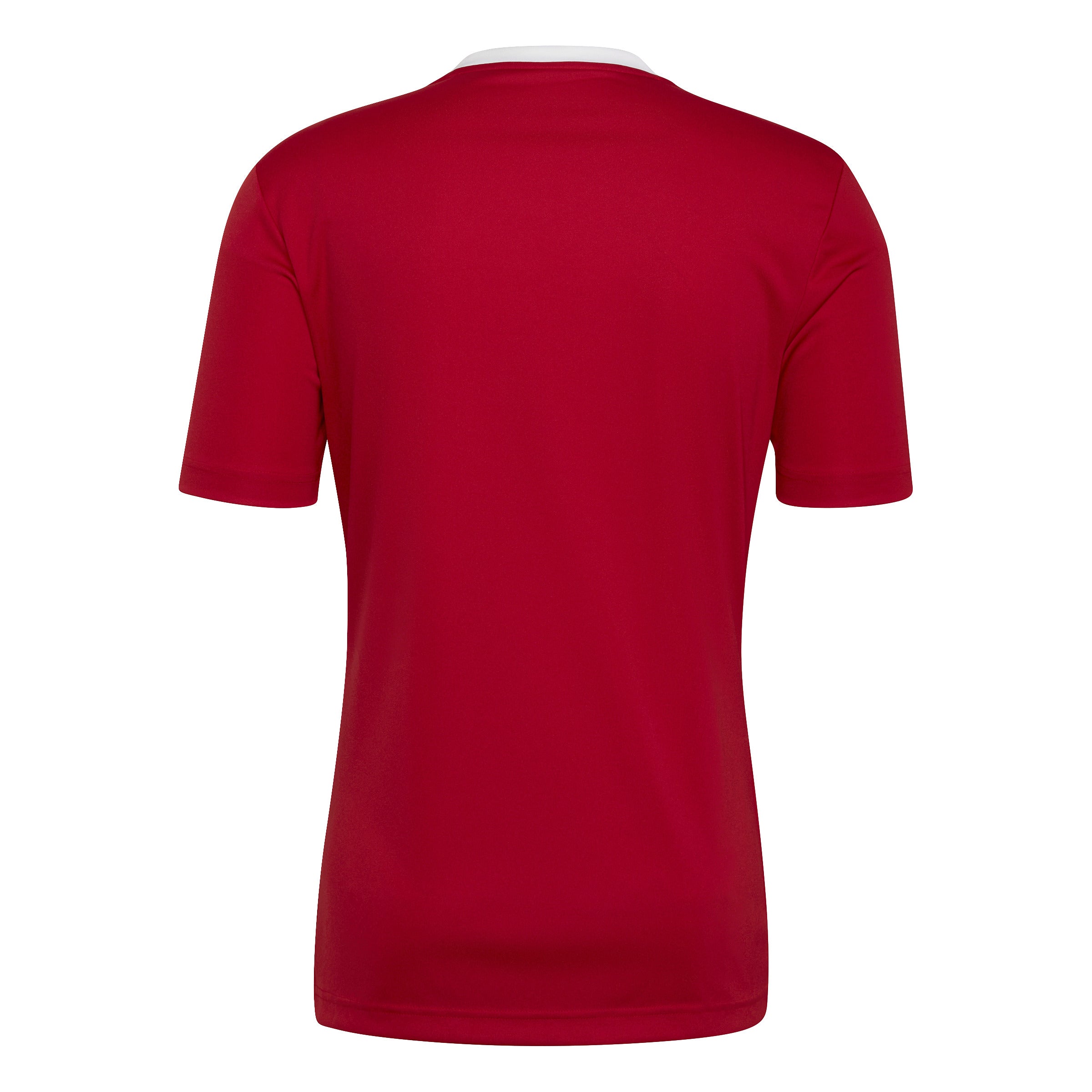 Rhyl 1879 First Team Training T-Shirt