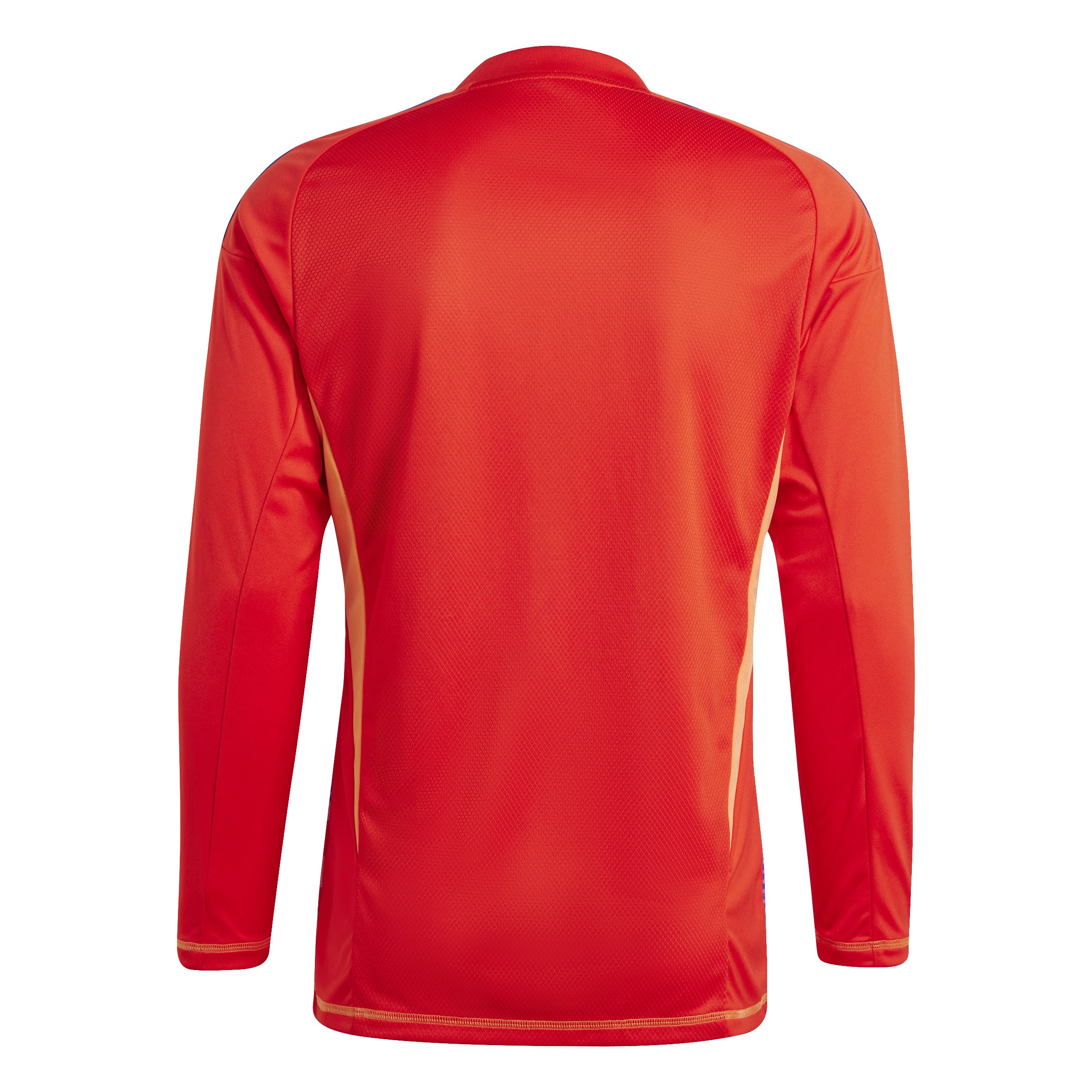 Adidas Tiro 24 Competition Goalkeeper Shirt