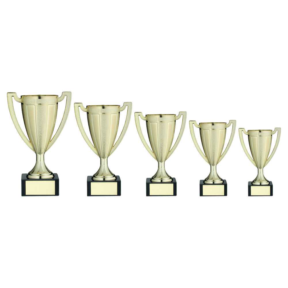 Gold Plastic Trophy With Plate