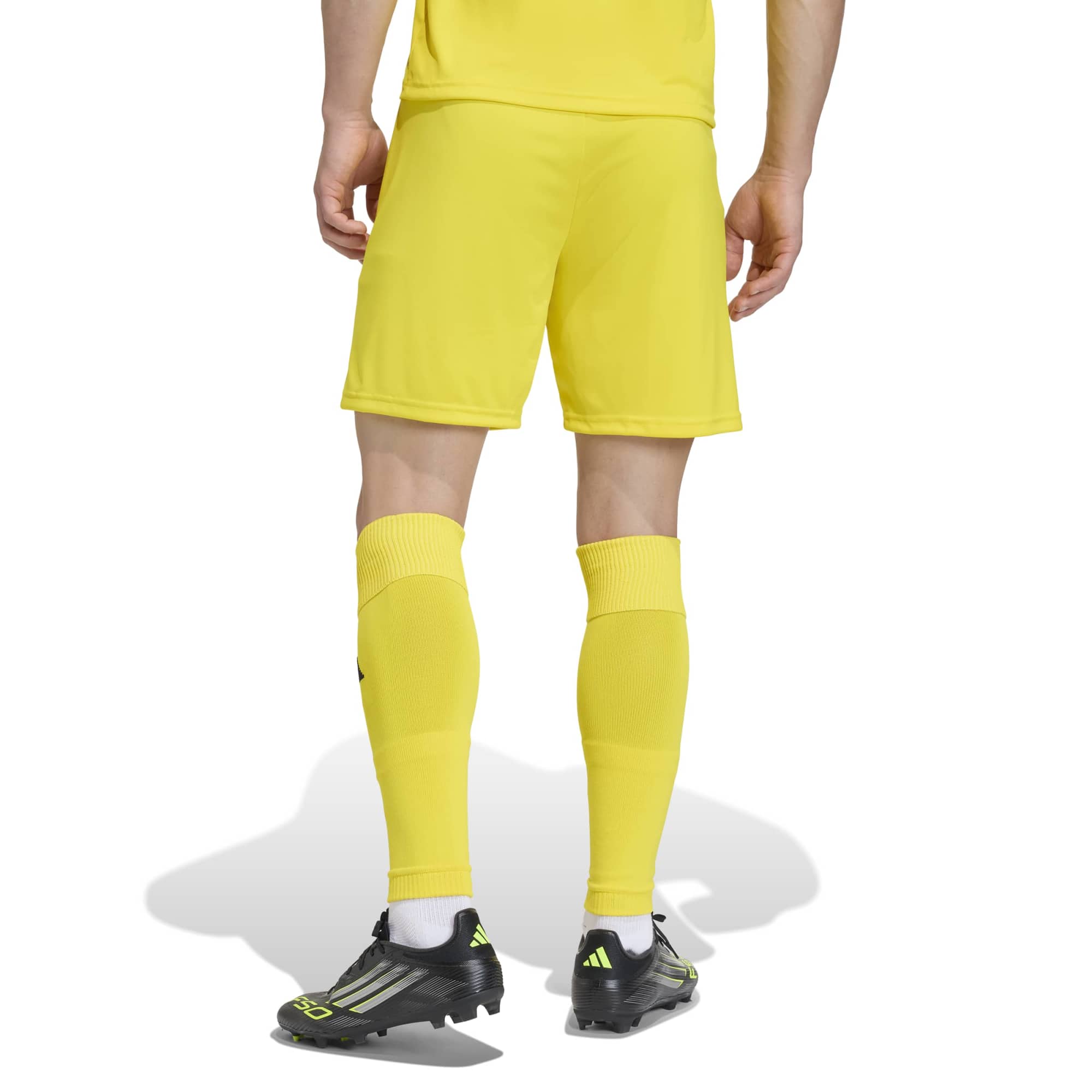 Adidas Entrada 26 Matchday Shorts