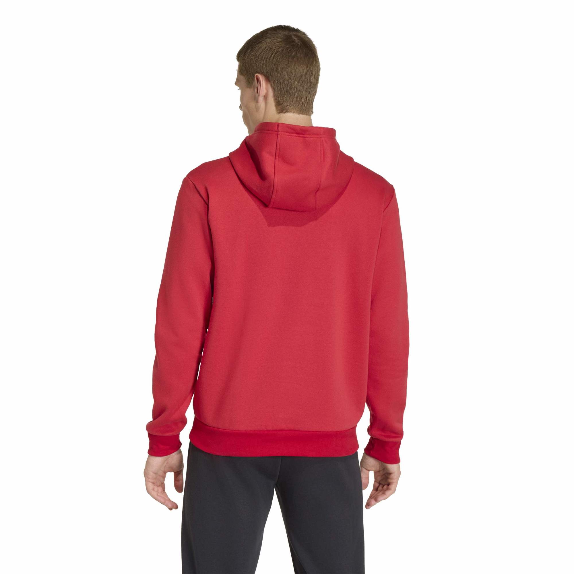 Adidas Entrada 26 Hoodie