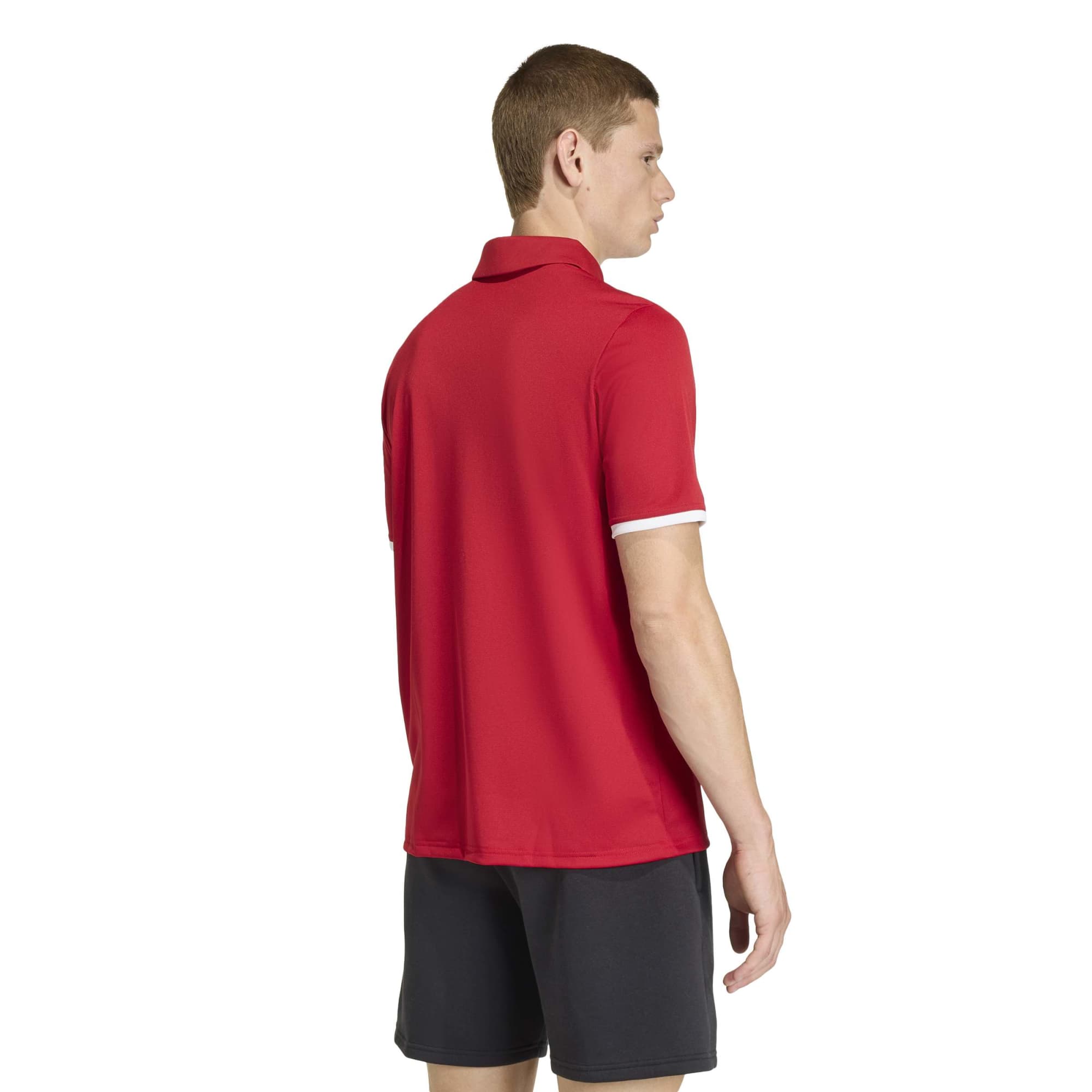Adidas Entrada 26 Polo