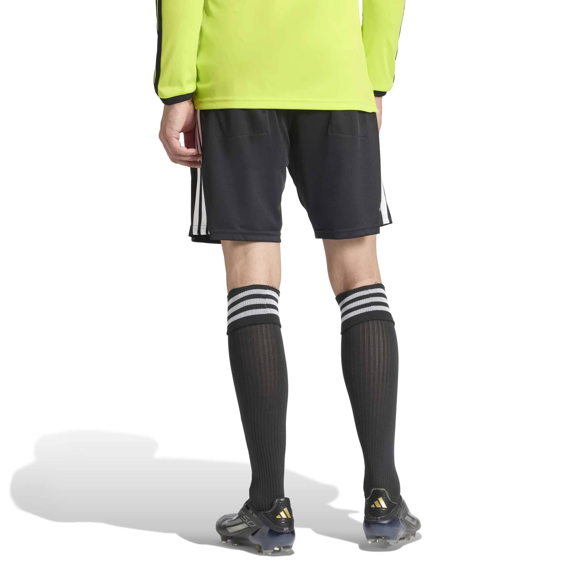 Adidas Referee 26 Shorts