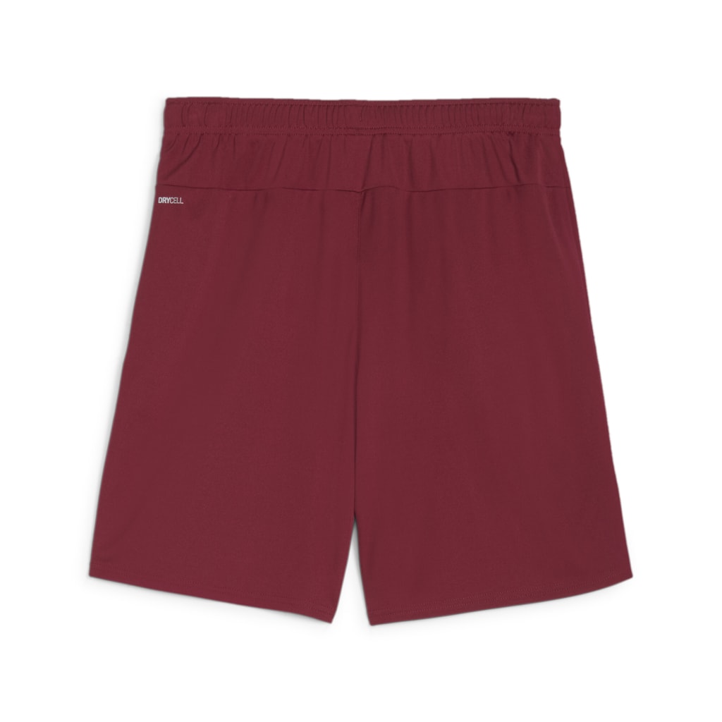 Puma Team Goal Shorts