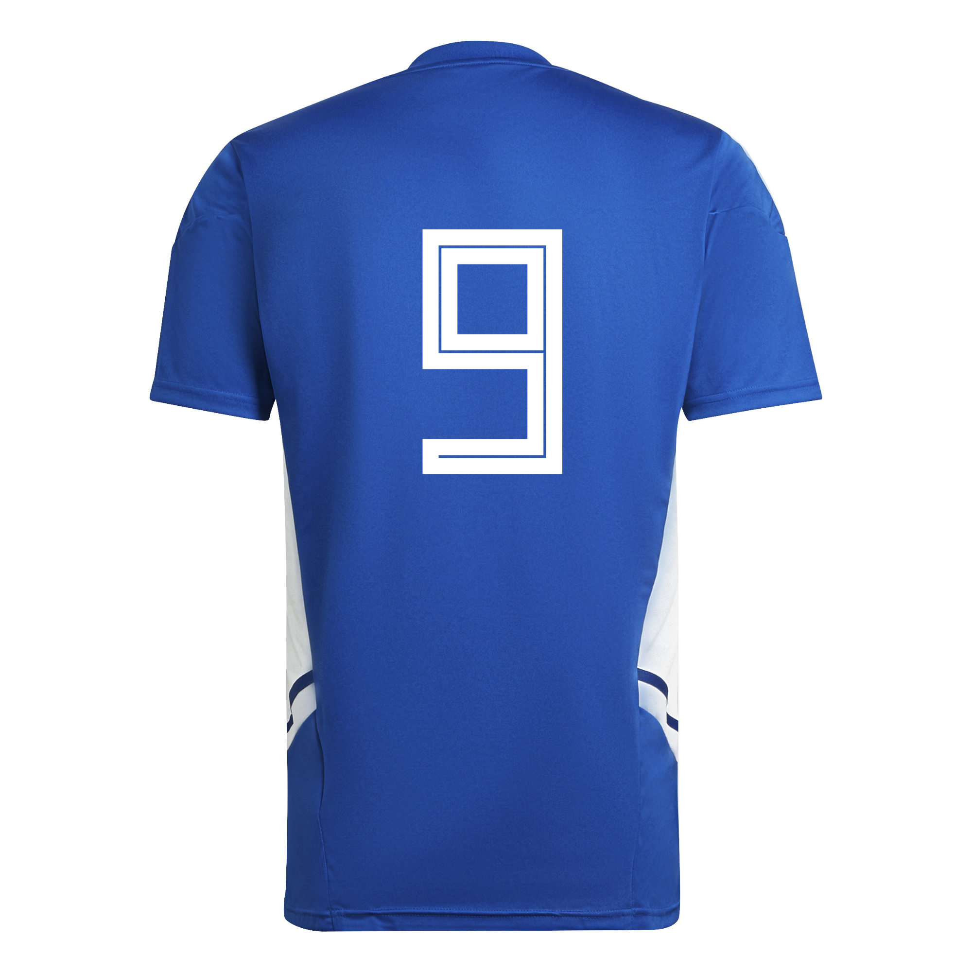 Northop Hall Girls Home Shirt
