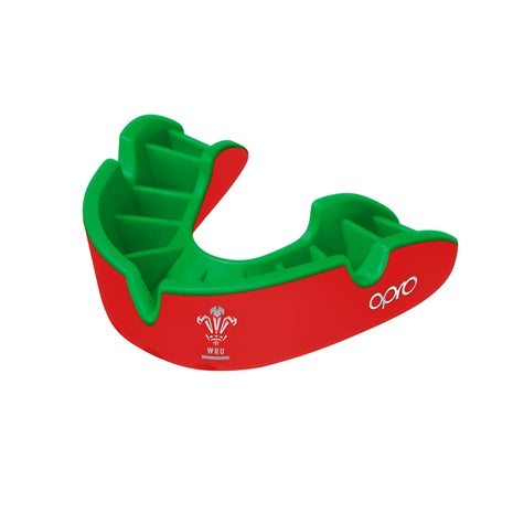 Opro Self-Fit Gen 4 Junior Silver Wales RFU