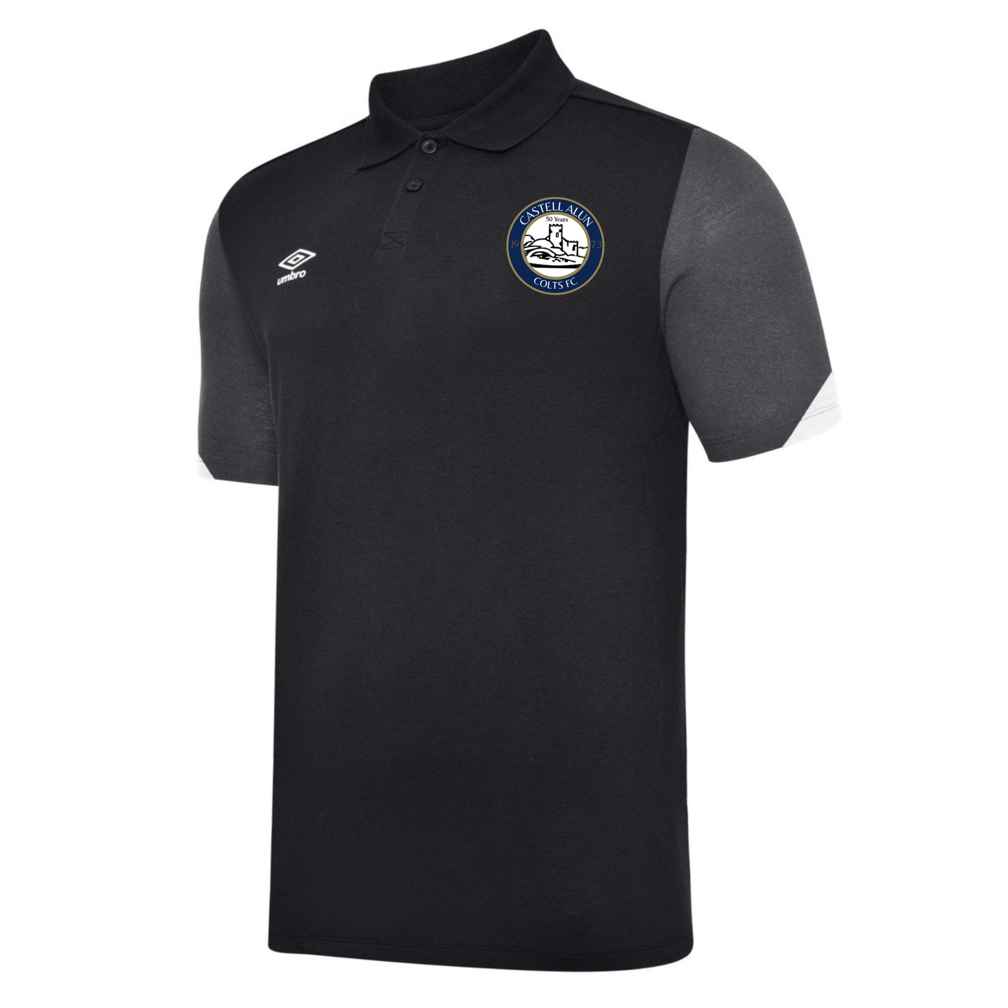 Castell Alun Club Polo
