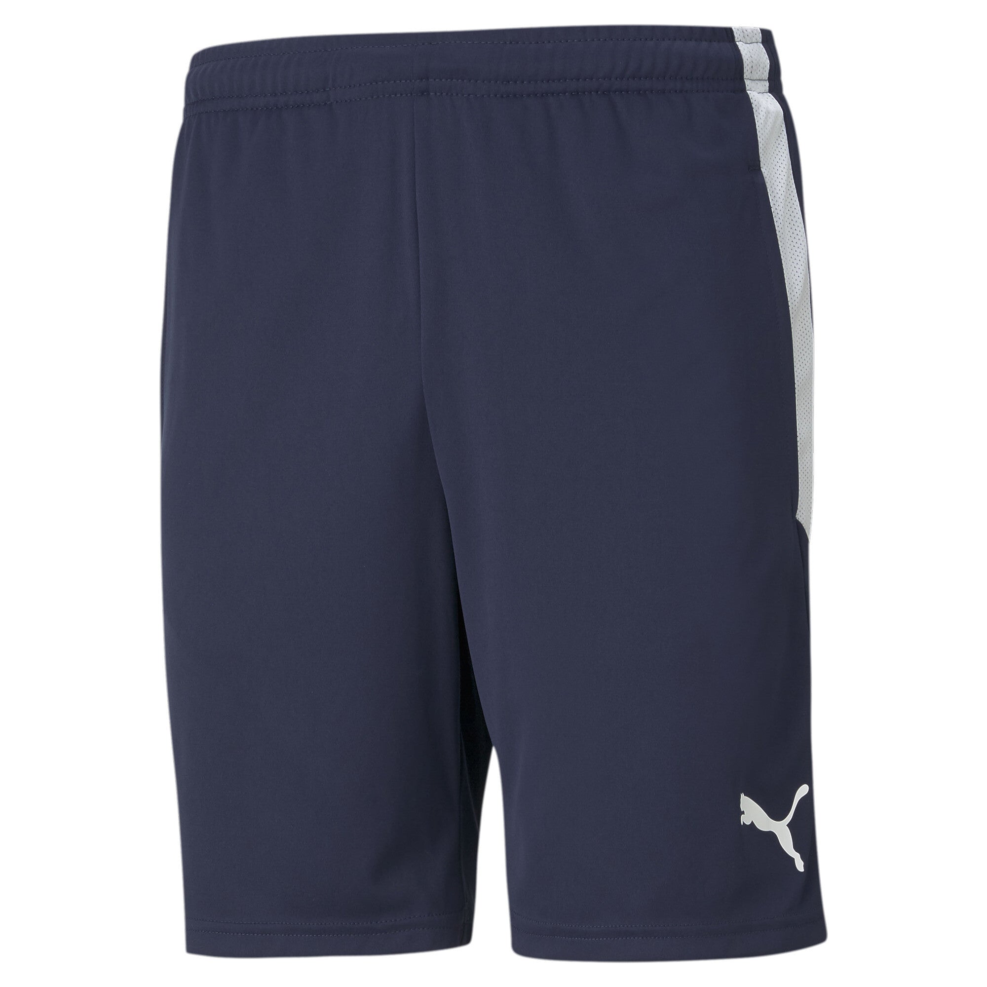 Puma Team Liga Training Shorts