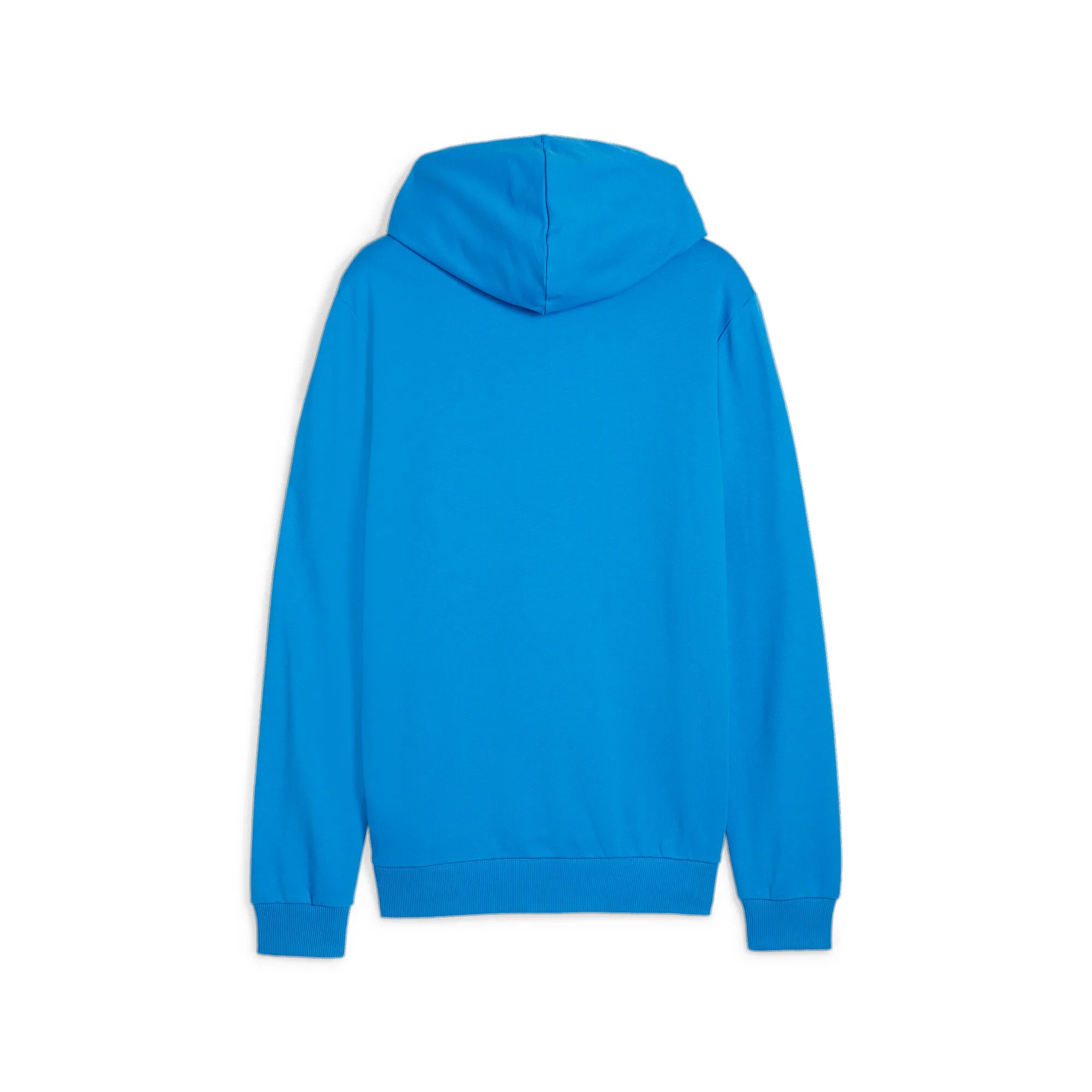 Puma Team Goal Casuals Hooded Jacket