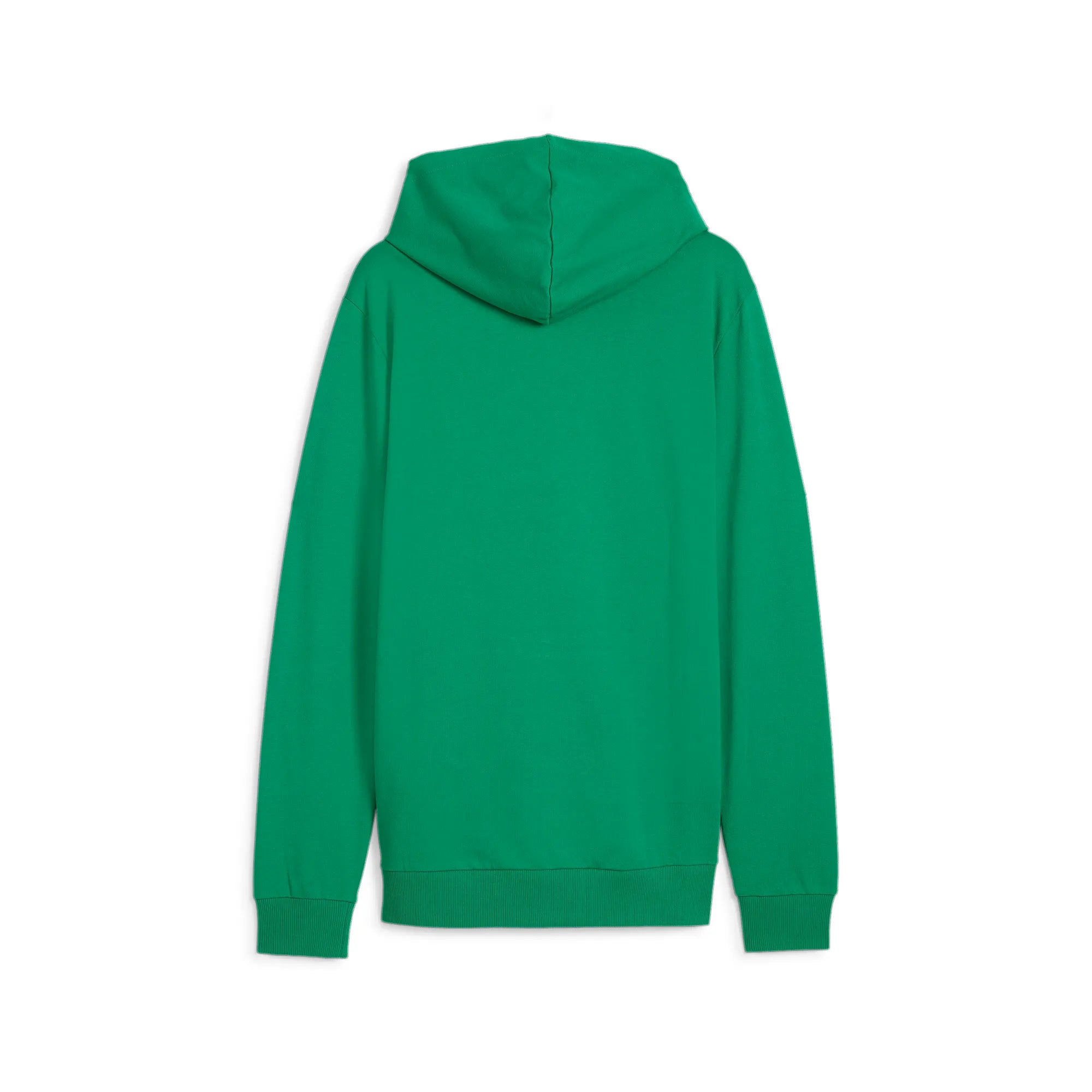 Puma Team Goal Casuals Hooded Jacket