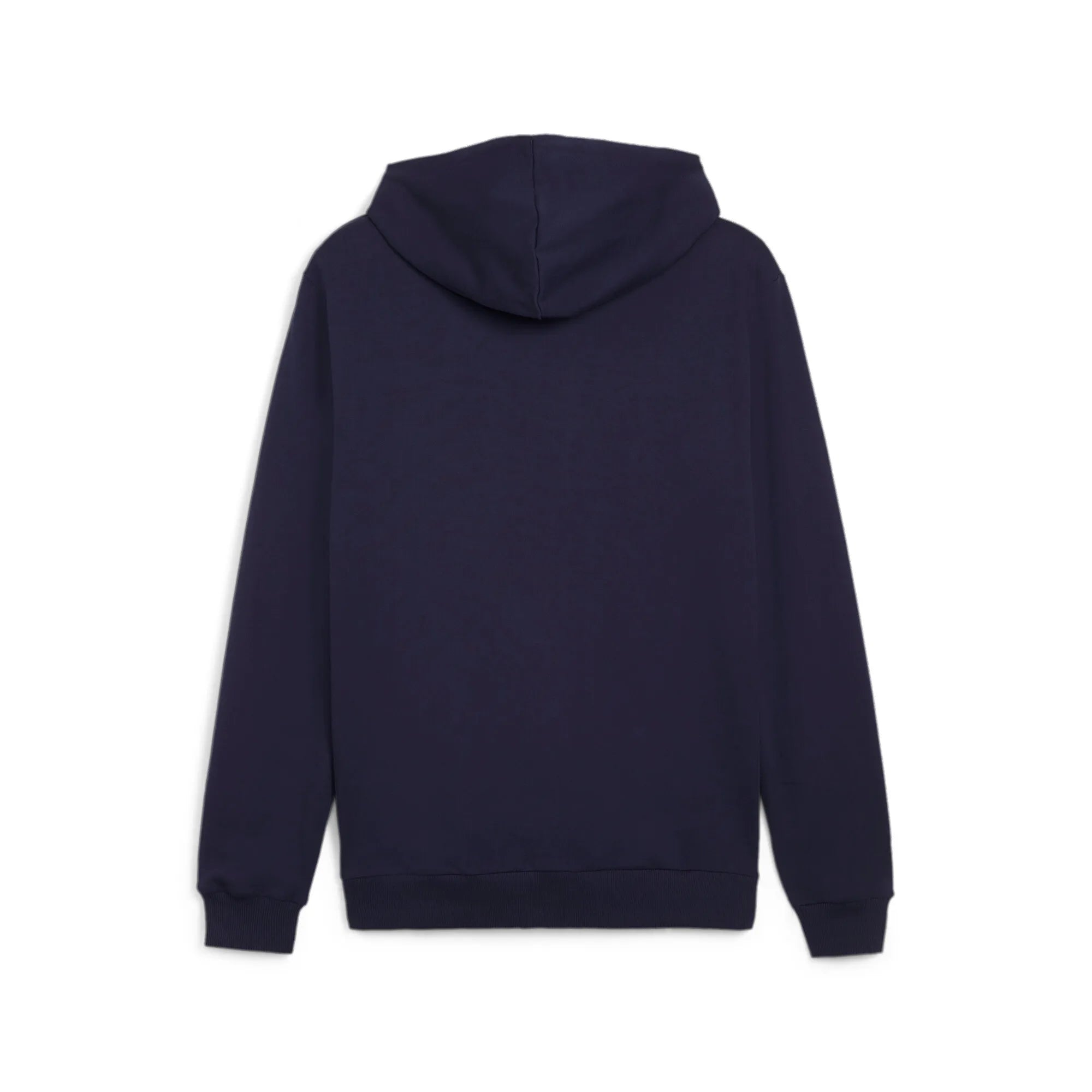 Puma Team Goal Casuals Hooded Jacket