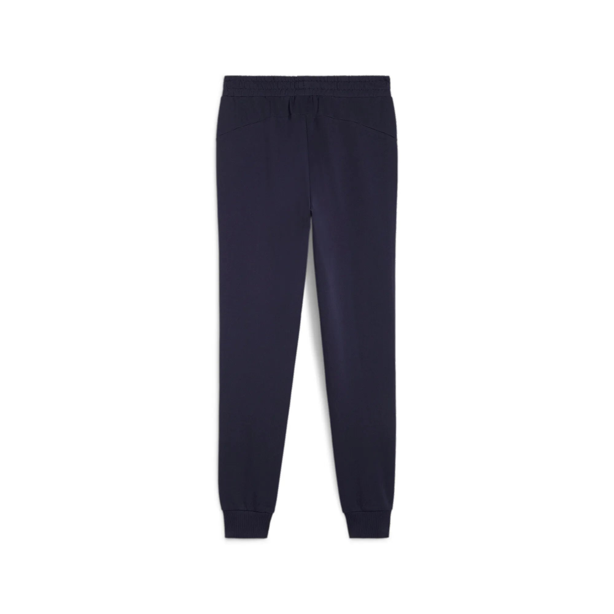 Puma Team Goal Casuals Pants