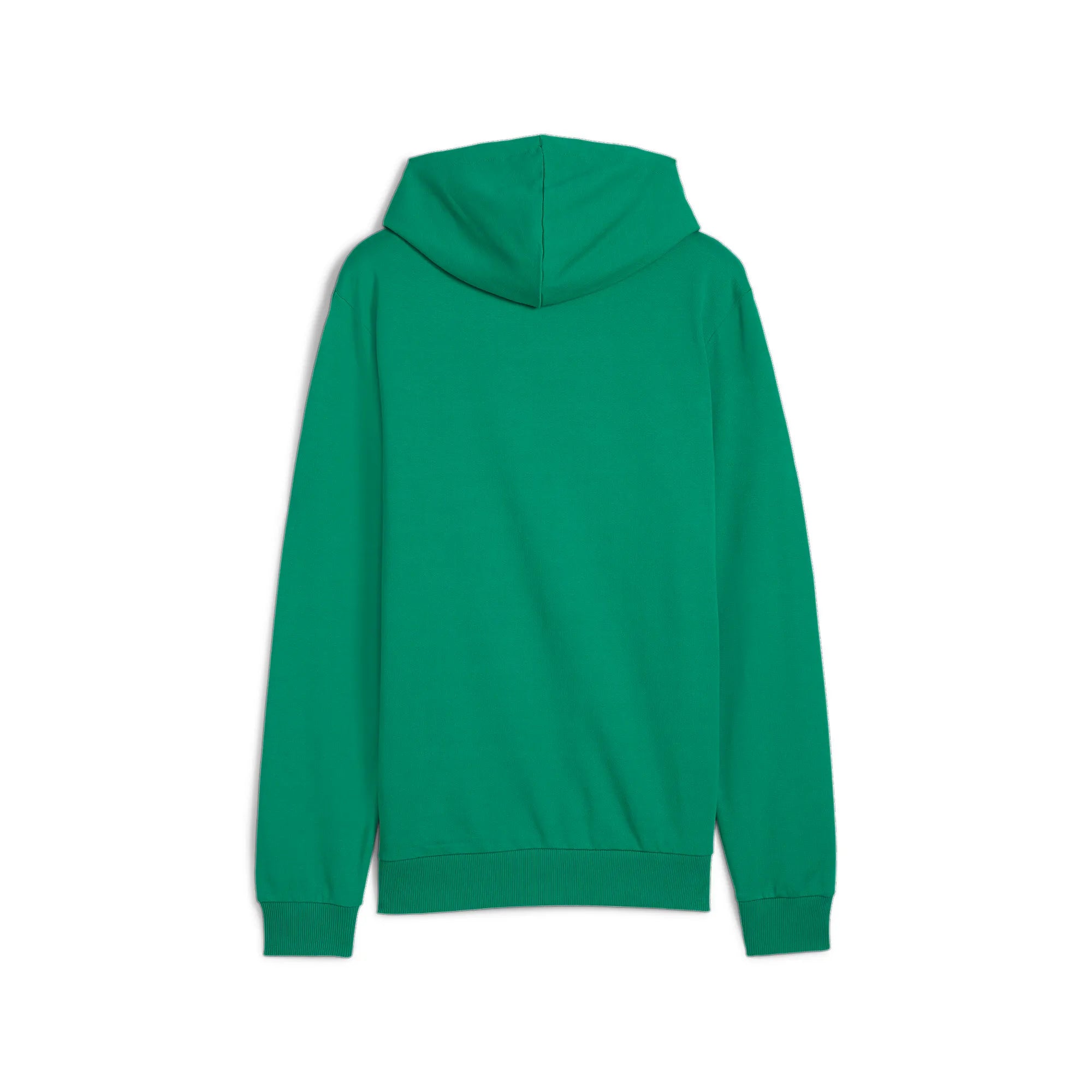 Puma Team Goal Casuals Hoody