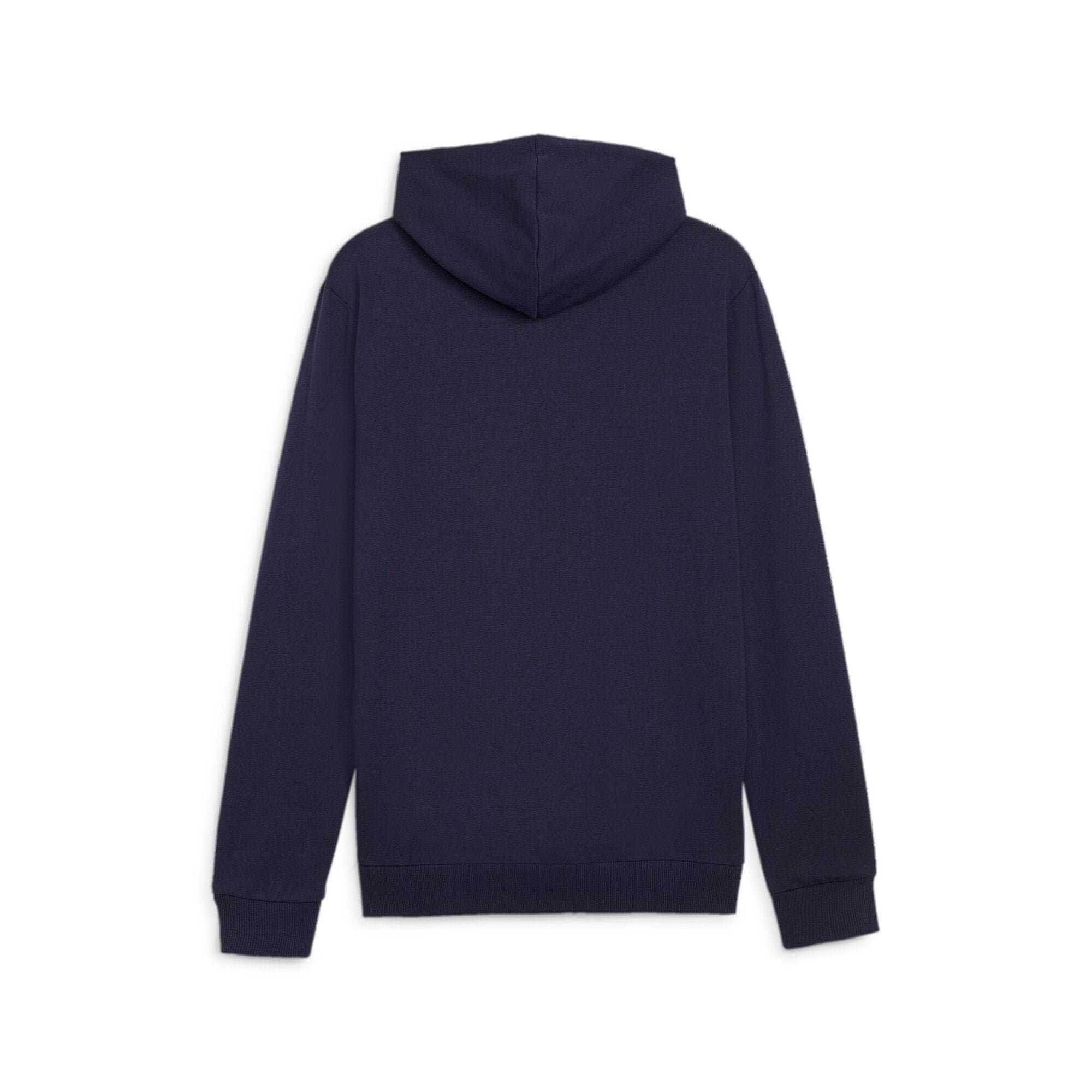 Puma Team Goal Casuals Hoody
