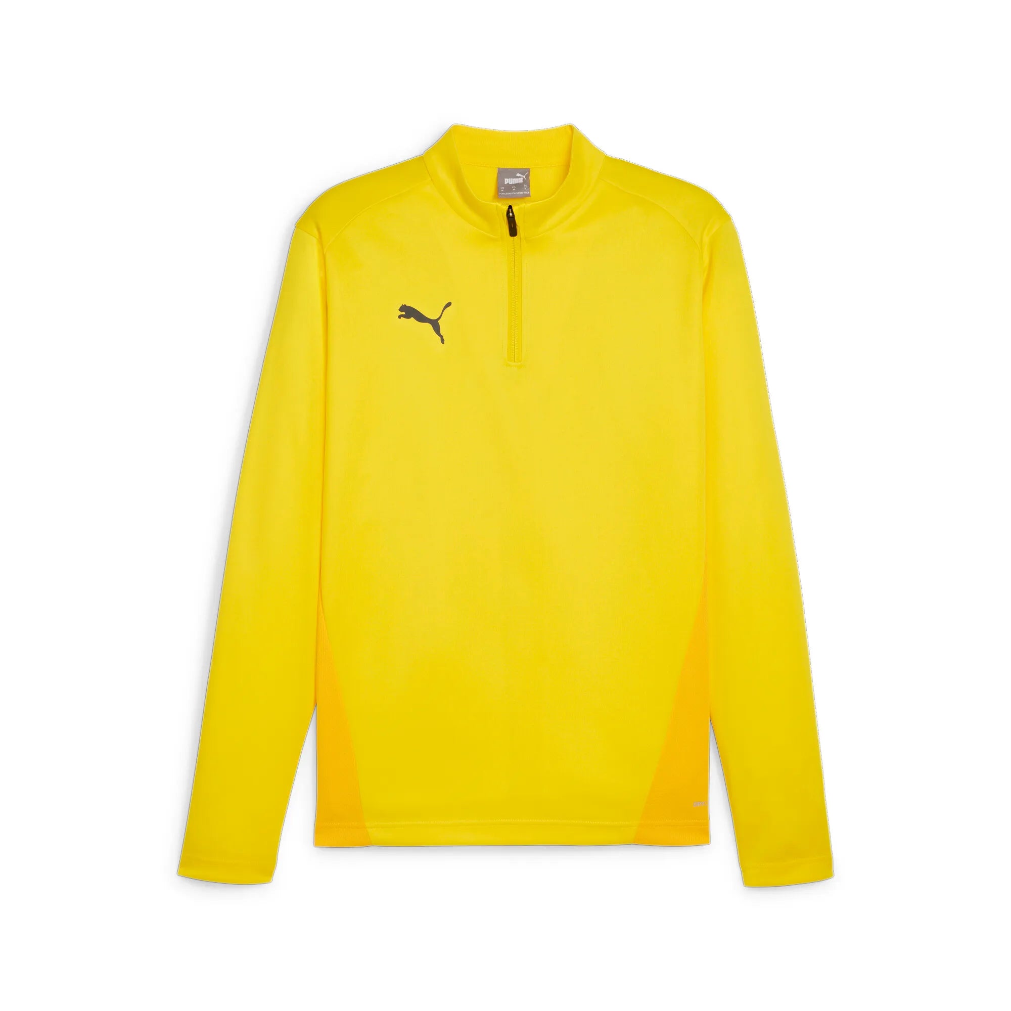Puma Team Goal Training 1/4 Zip Top