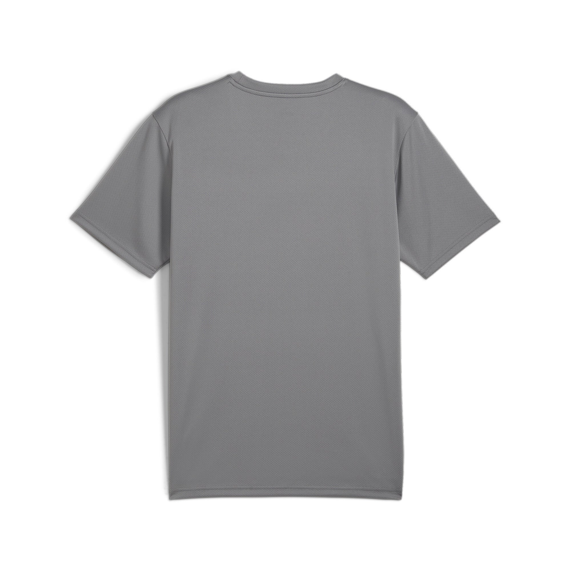 Puma Team Goal Jersey