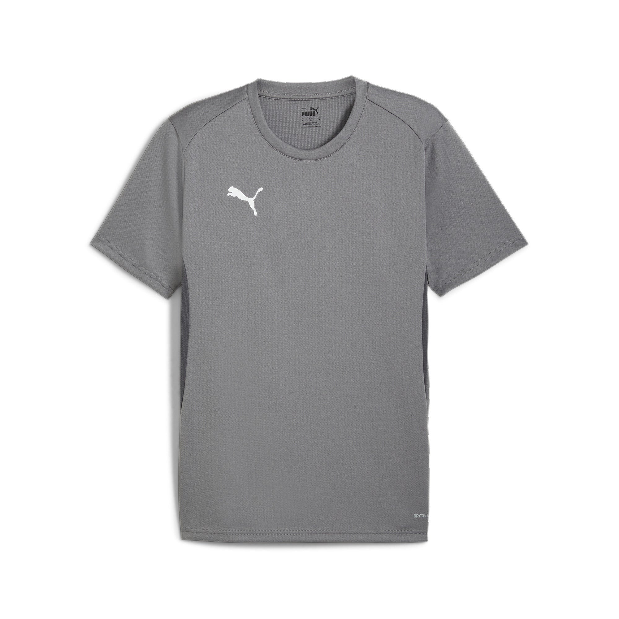 Puma Team Goal Jersey